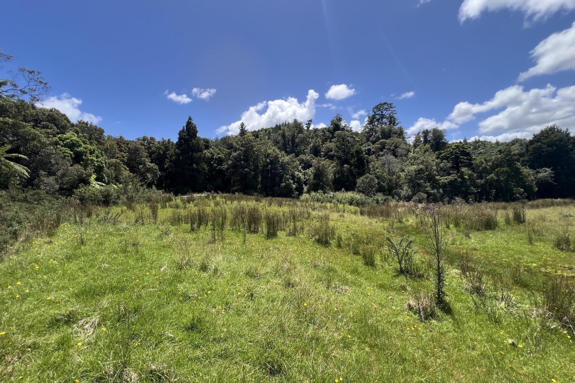 8 Aorangi Drive, Greymouth