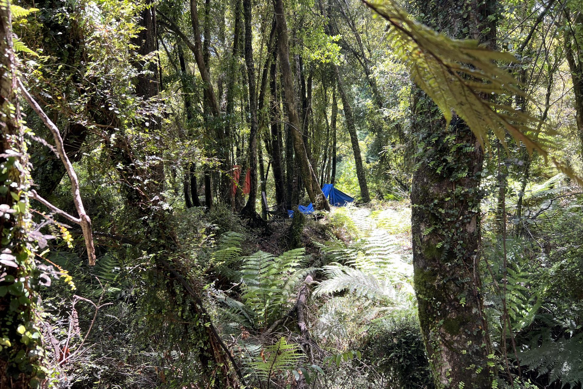 8 Aorangi Drive, Greymouth