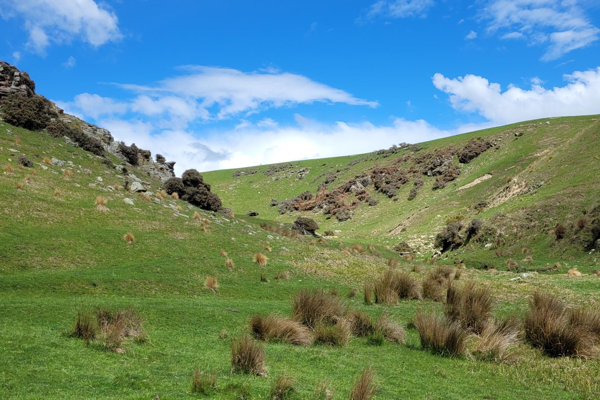 980 Moa Flat Road, Moa Flat