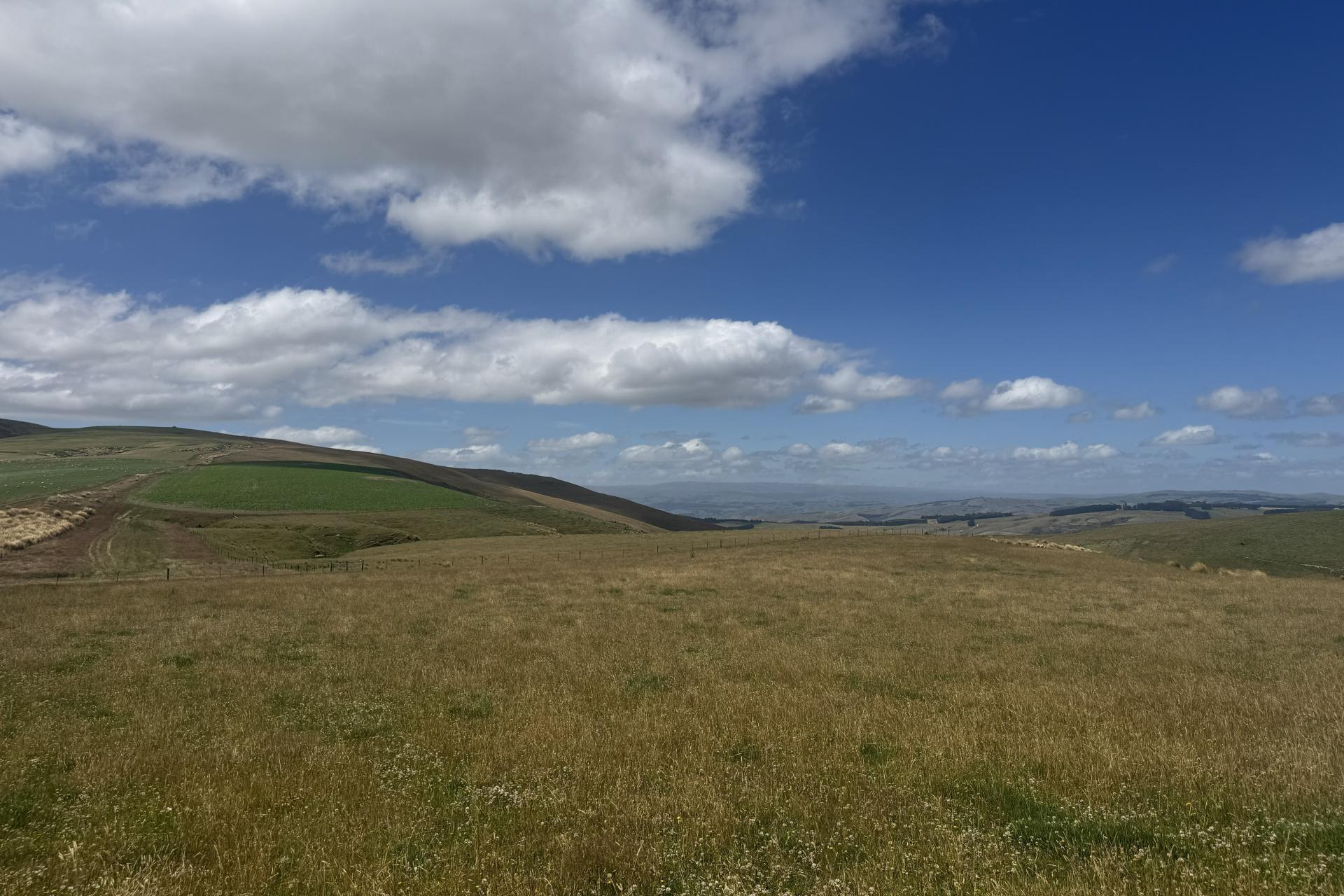 980 Moa Flat Road, Moa Flat