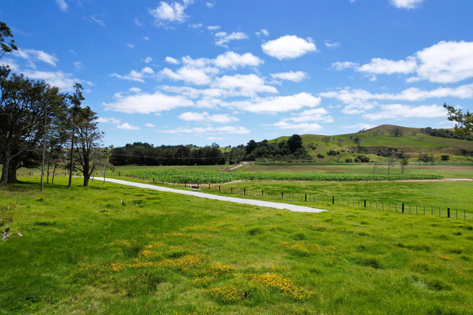 35 Sills Road, Dargaville