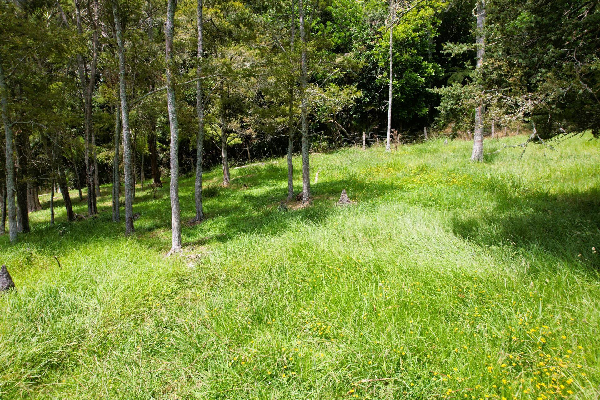 35 Sills Road, Dargaville