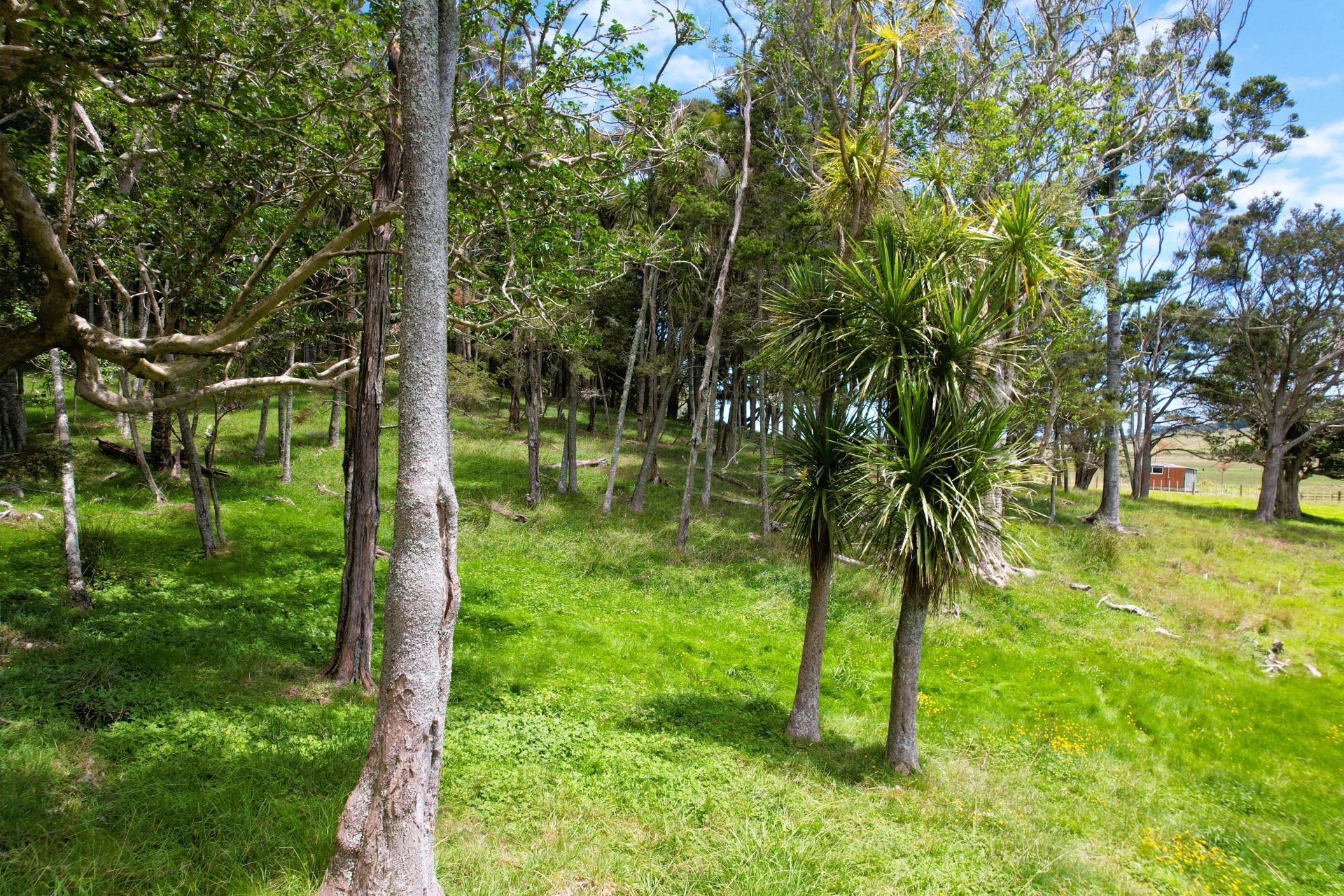35 Sills Road, Dargaville