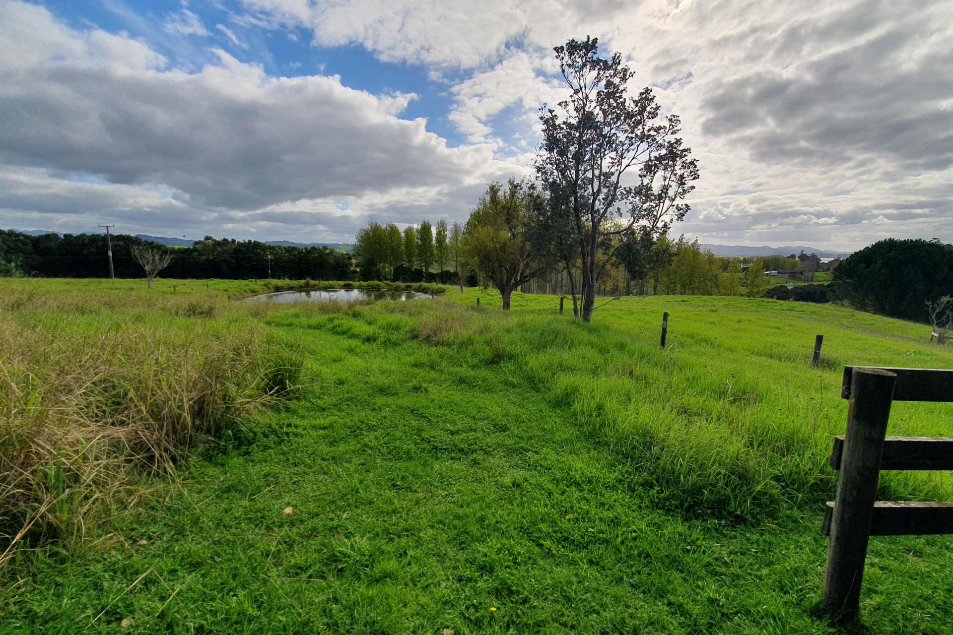 237 Hewlett Road, Mata