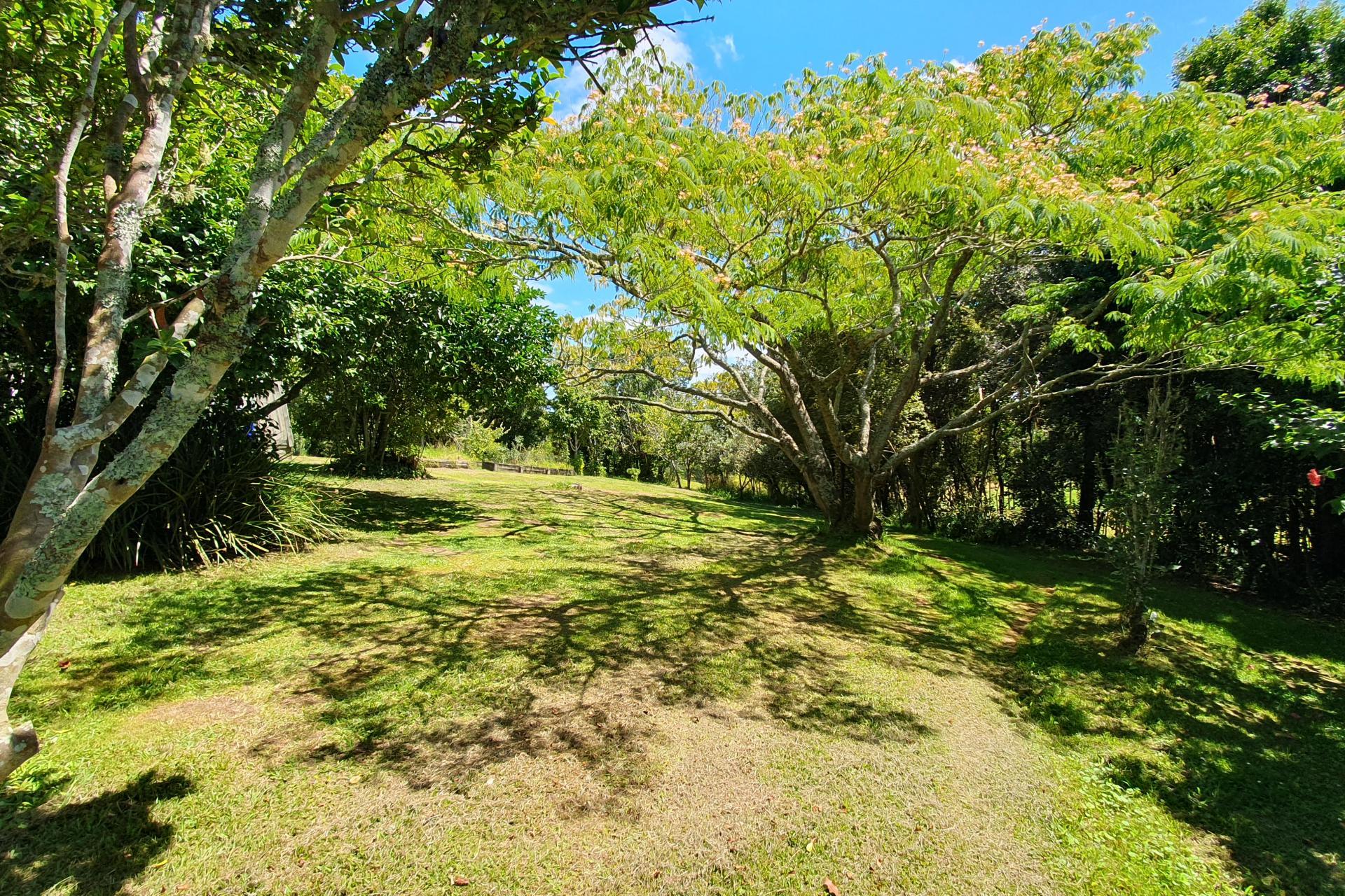 237 Hewlett Road, Mata