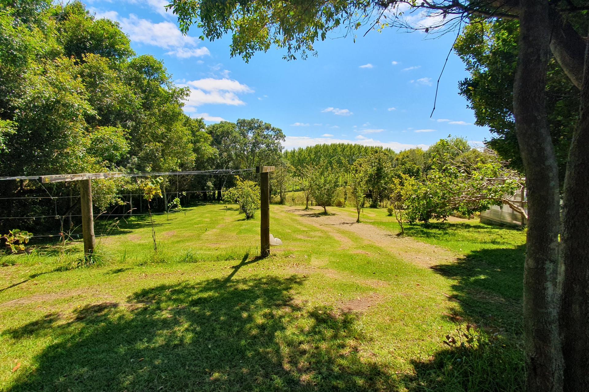 237 Hewlett Road, Mata