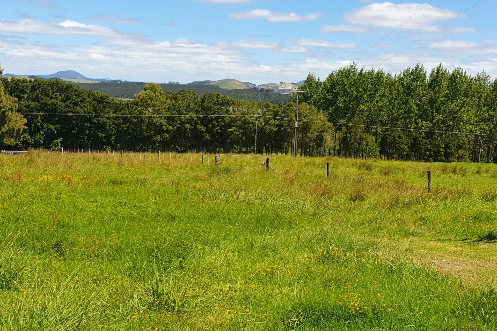 237 Hewlett Road, Mata