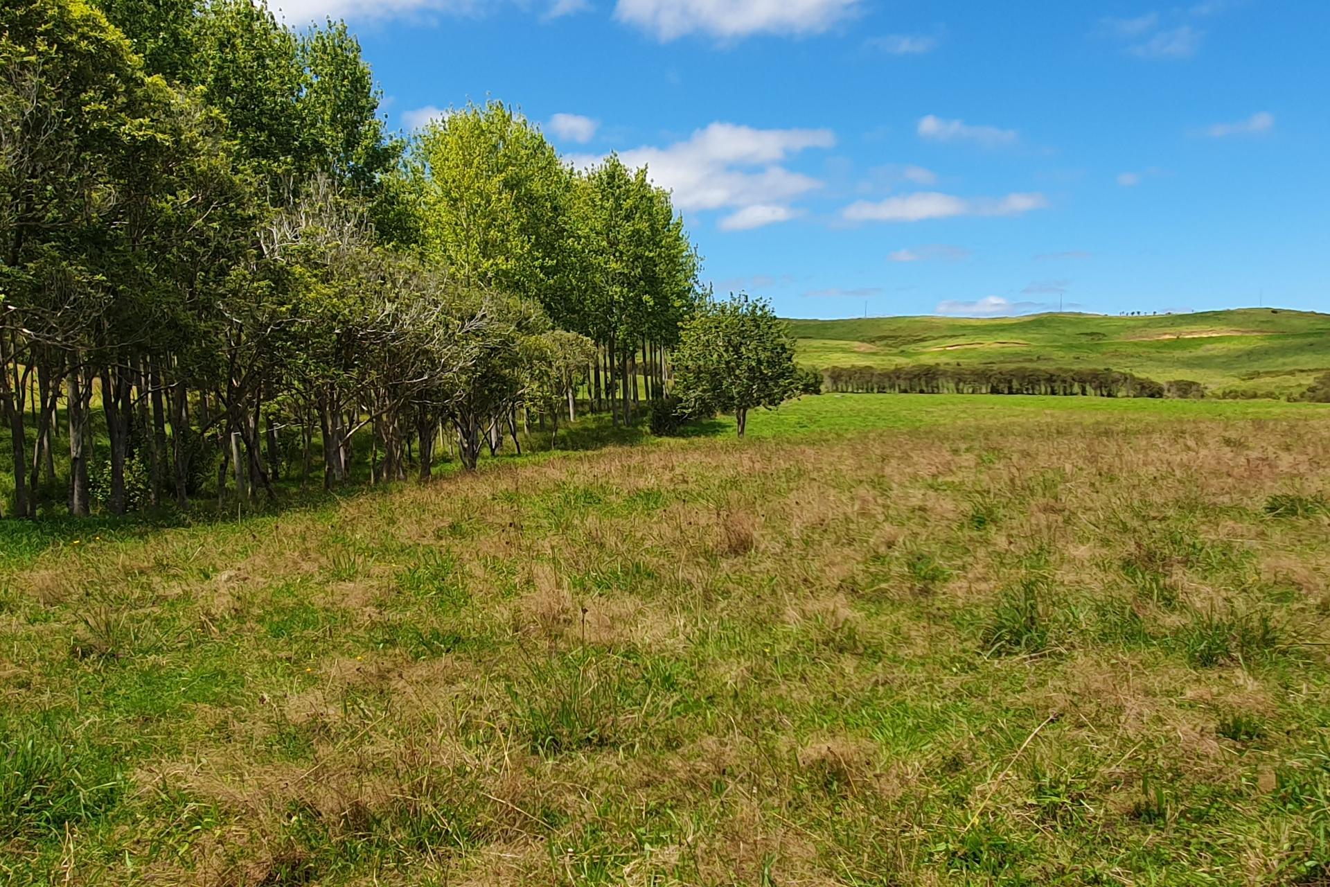 237 Hewlett Road, Mata