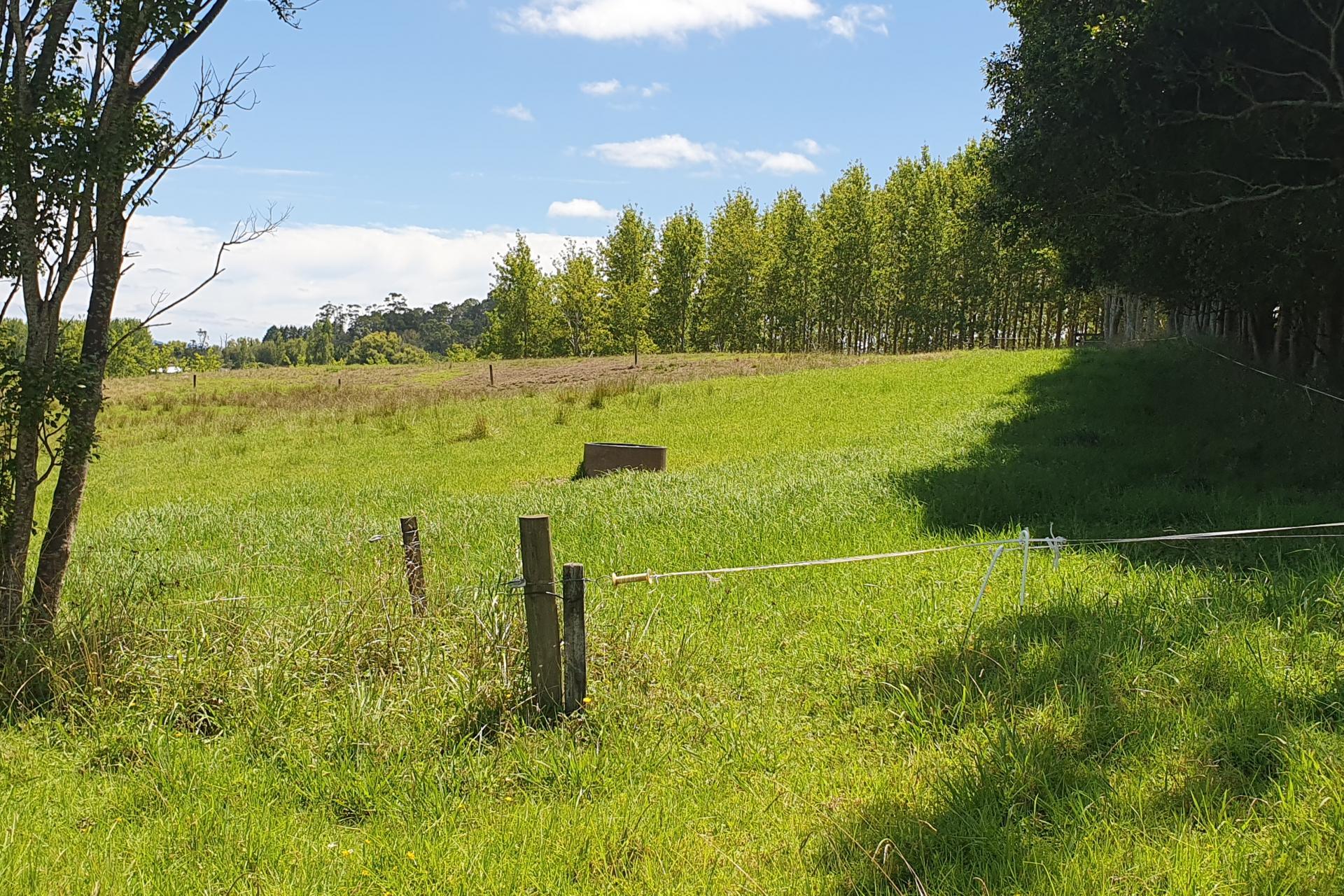 237 Hewlett Road, Mata