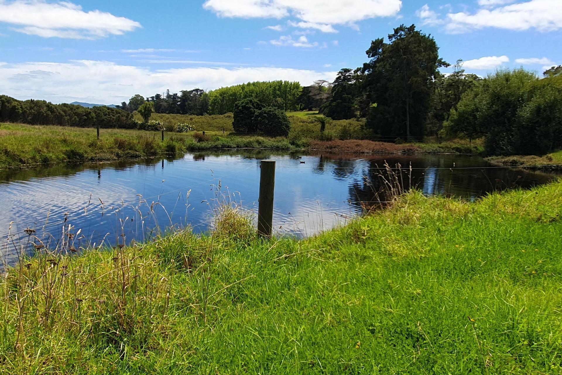 237 Hewlett Road, Mata