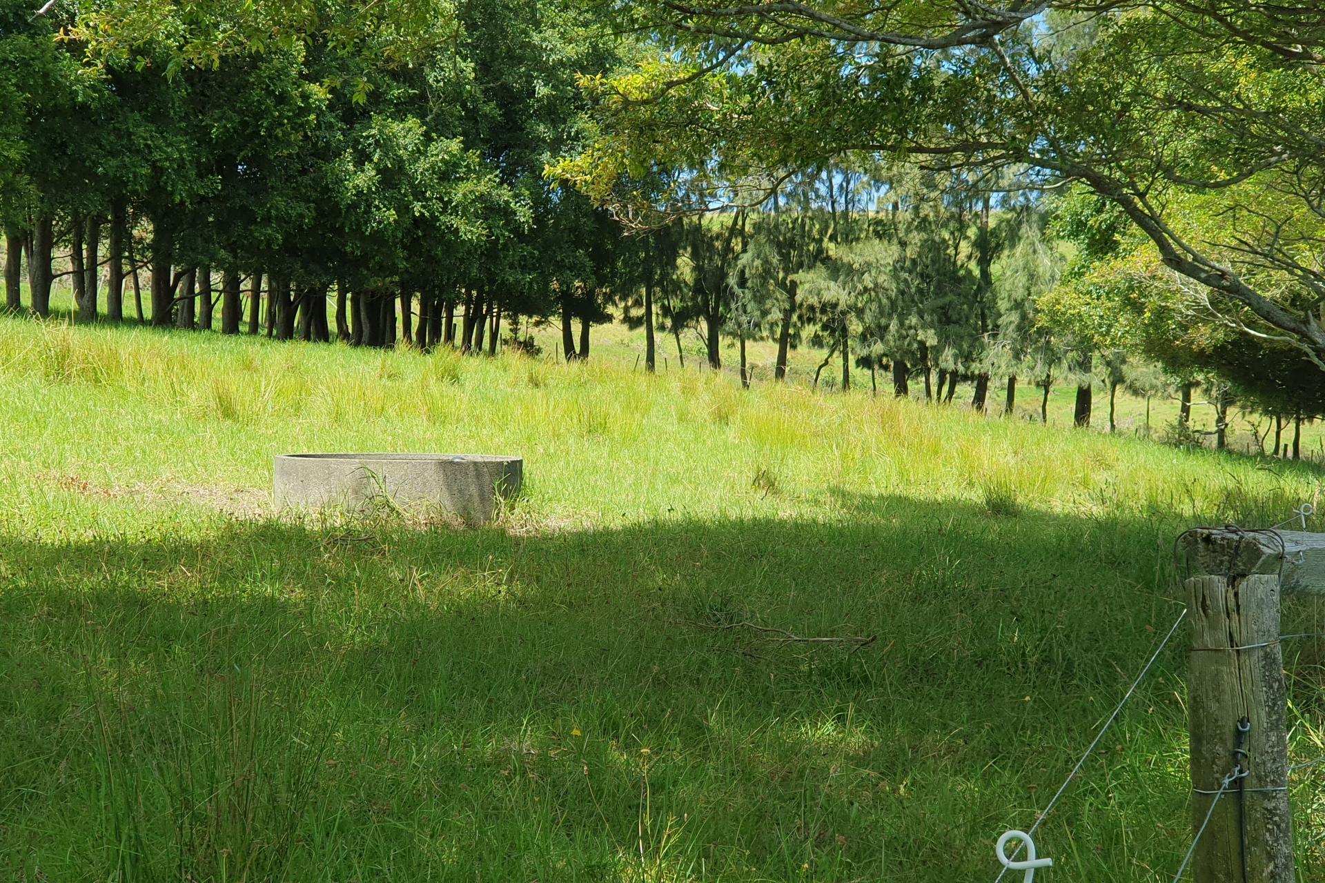 237 Hewlett Road, Mata