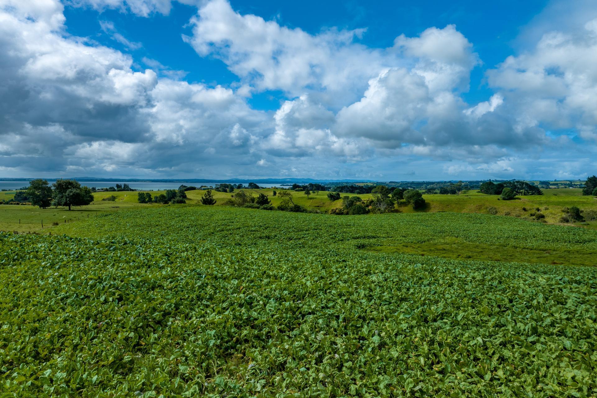 312 Grahams Beach Road, Manukau Heads