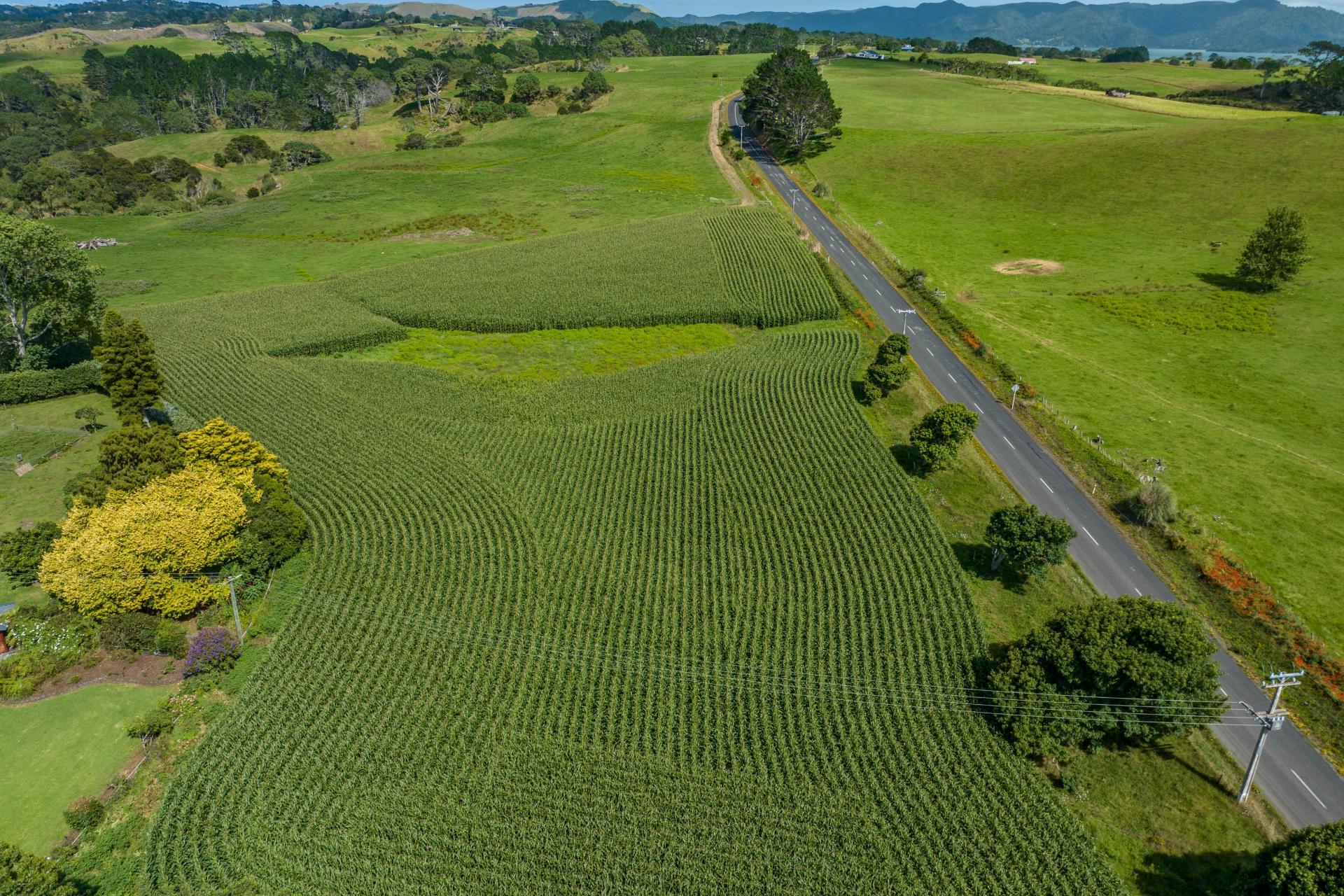 312 Grahams Beach Road, Manukau Heads