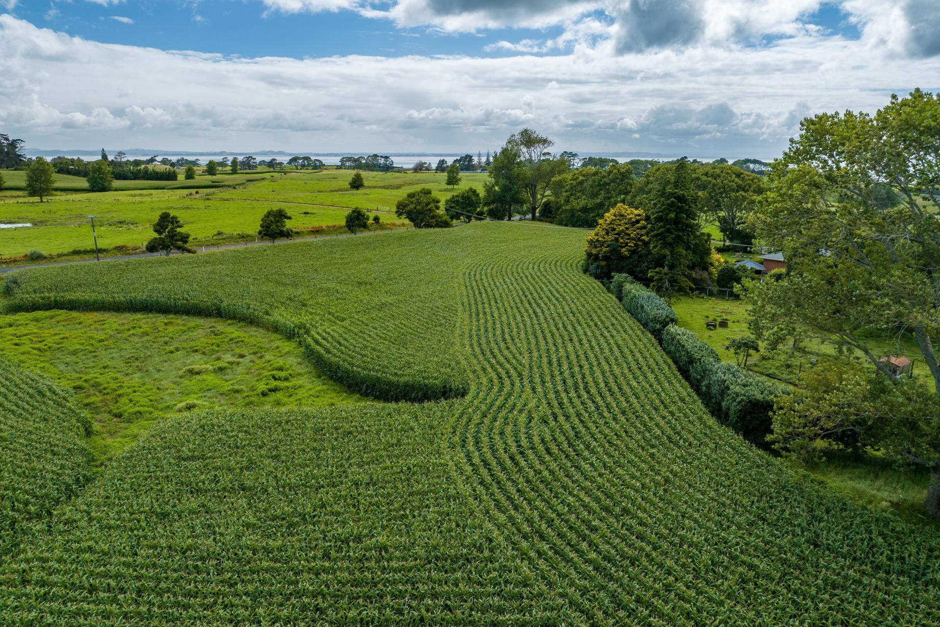312 Grahams Beach Road, Manukau Heads