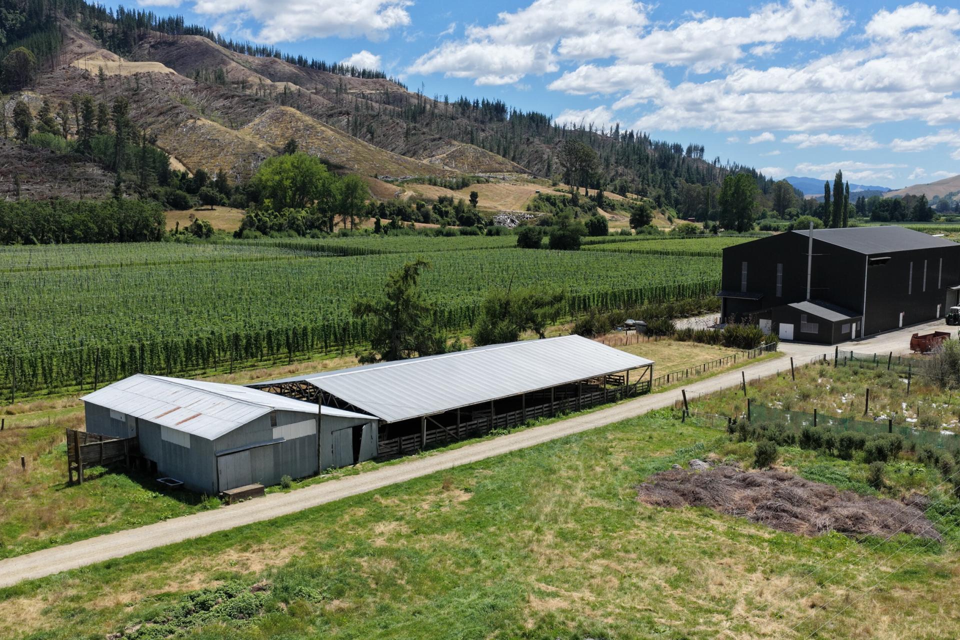 390 Tadmor Valley Road, Tapawera