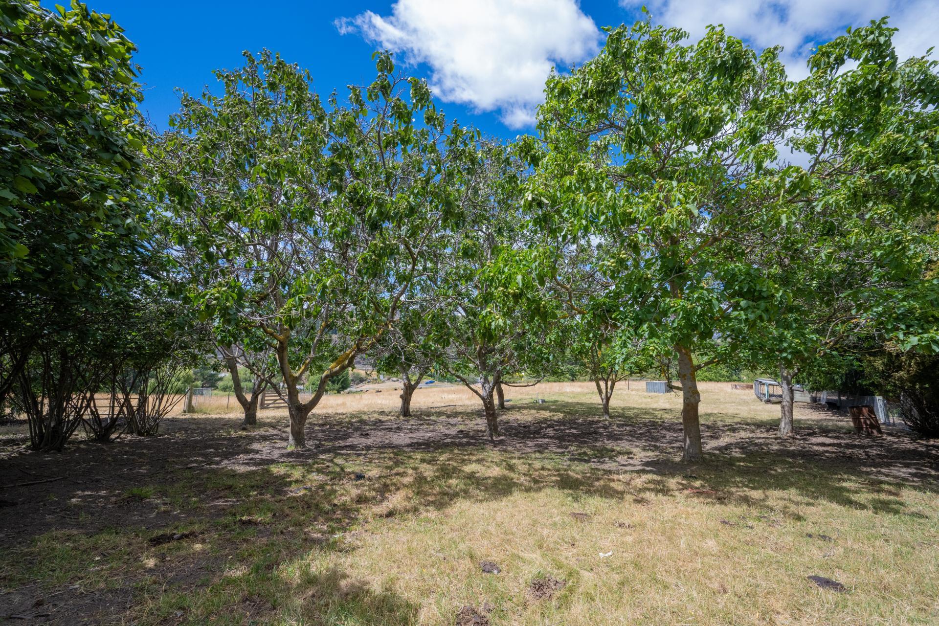 3077 Fruitlands - Roxburgh Road, Roxburgh