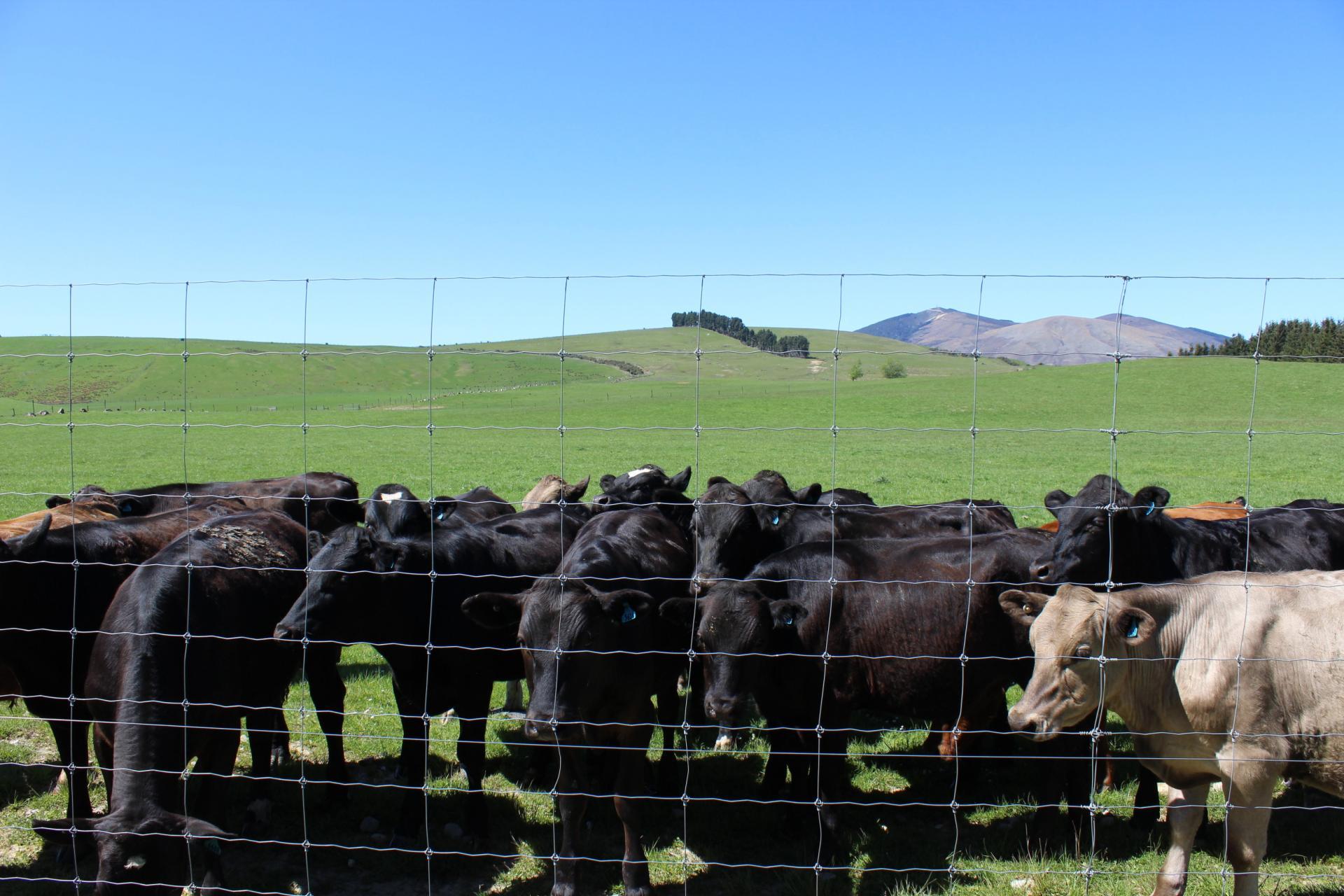 102 Talbot Road, Te Anau