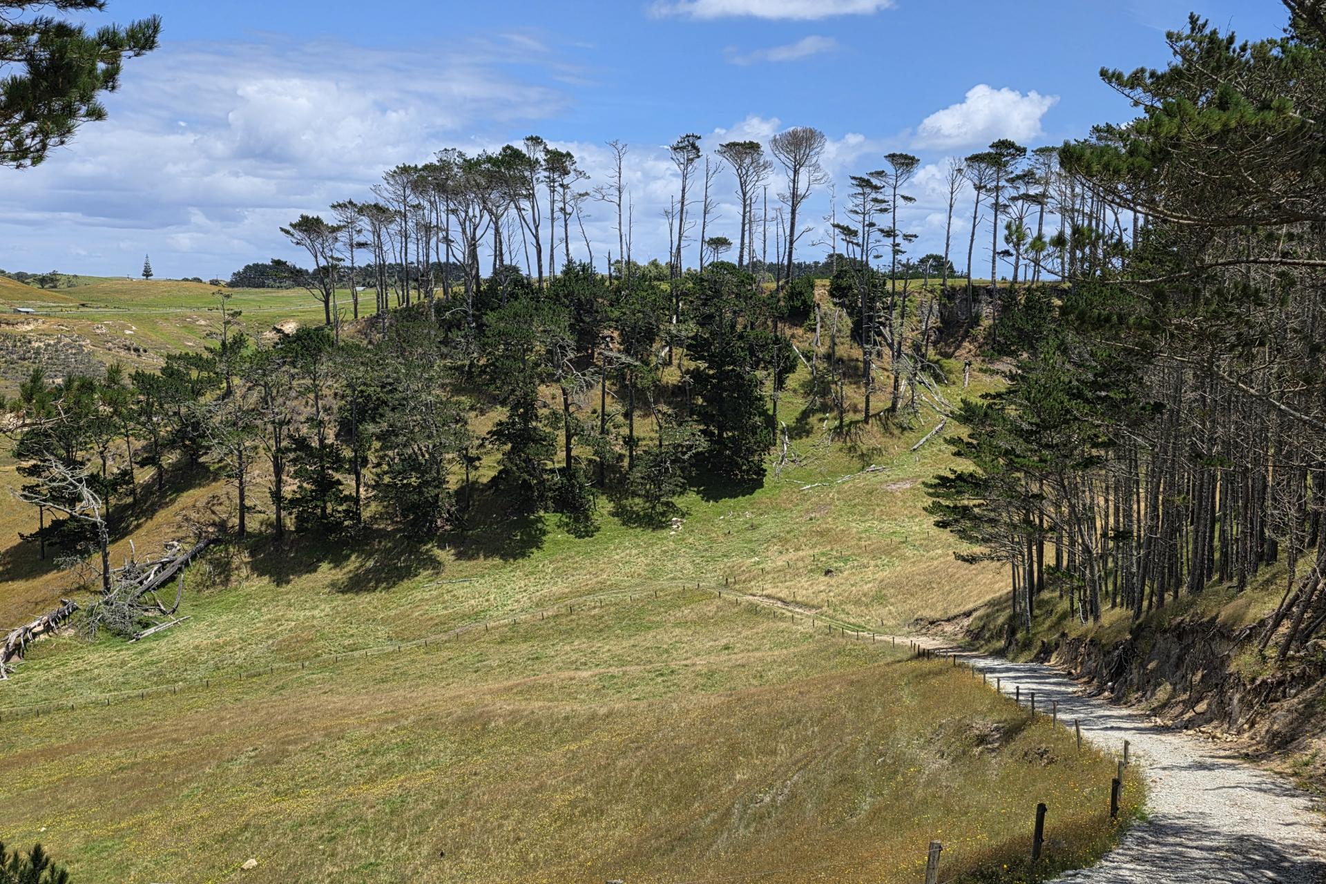 Mount Wesley Coast Road, Dargaville