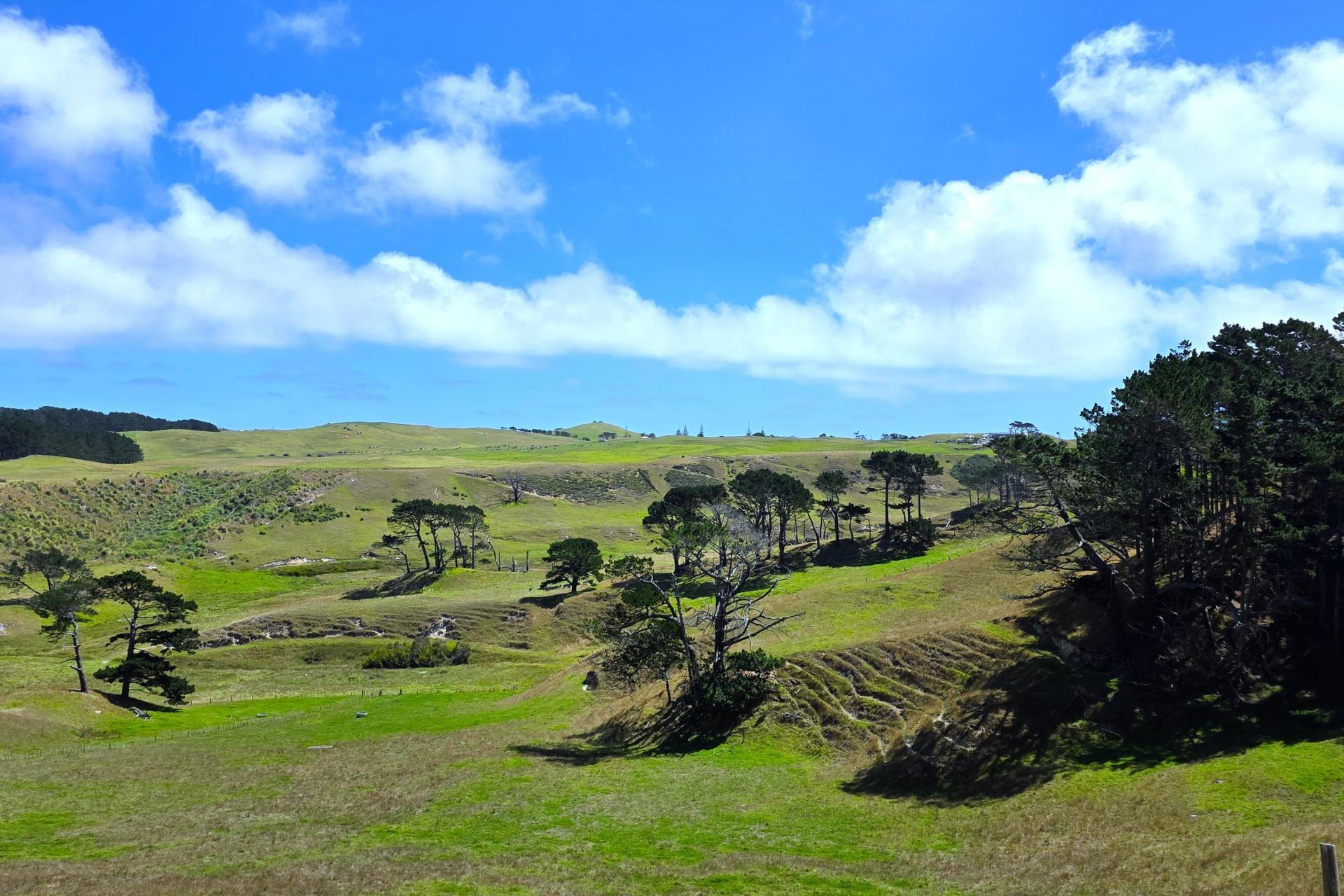 Mount Wesley Coast Road, Dargaville