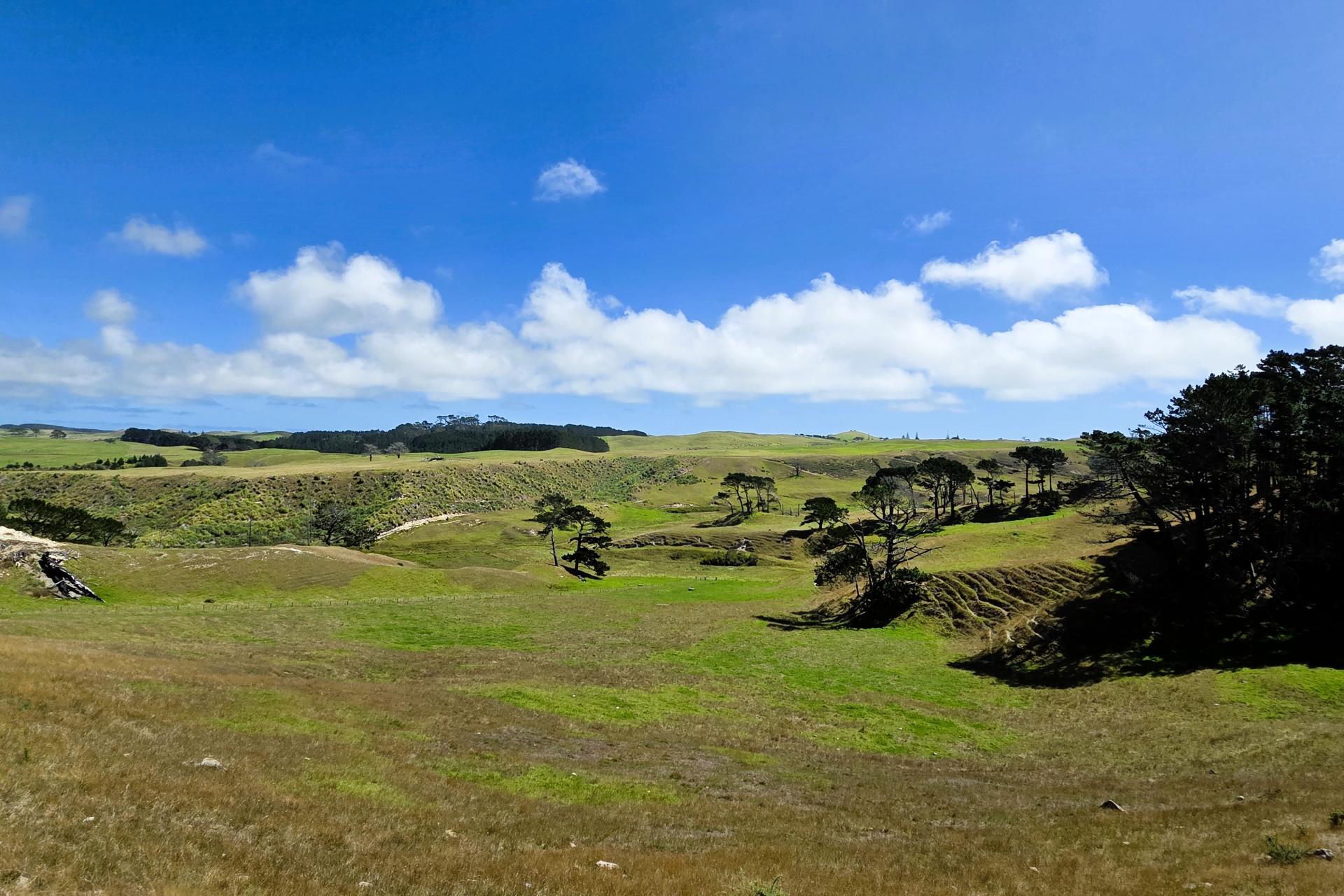 Mount Wesley Coast Road, Dargaville