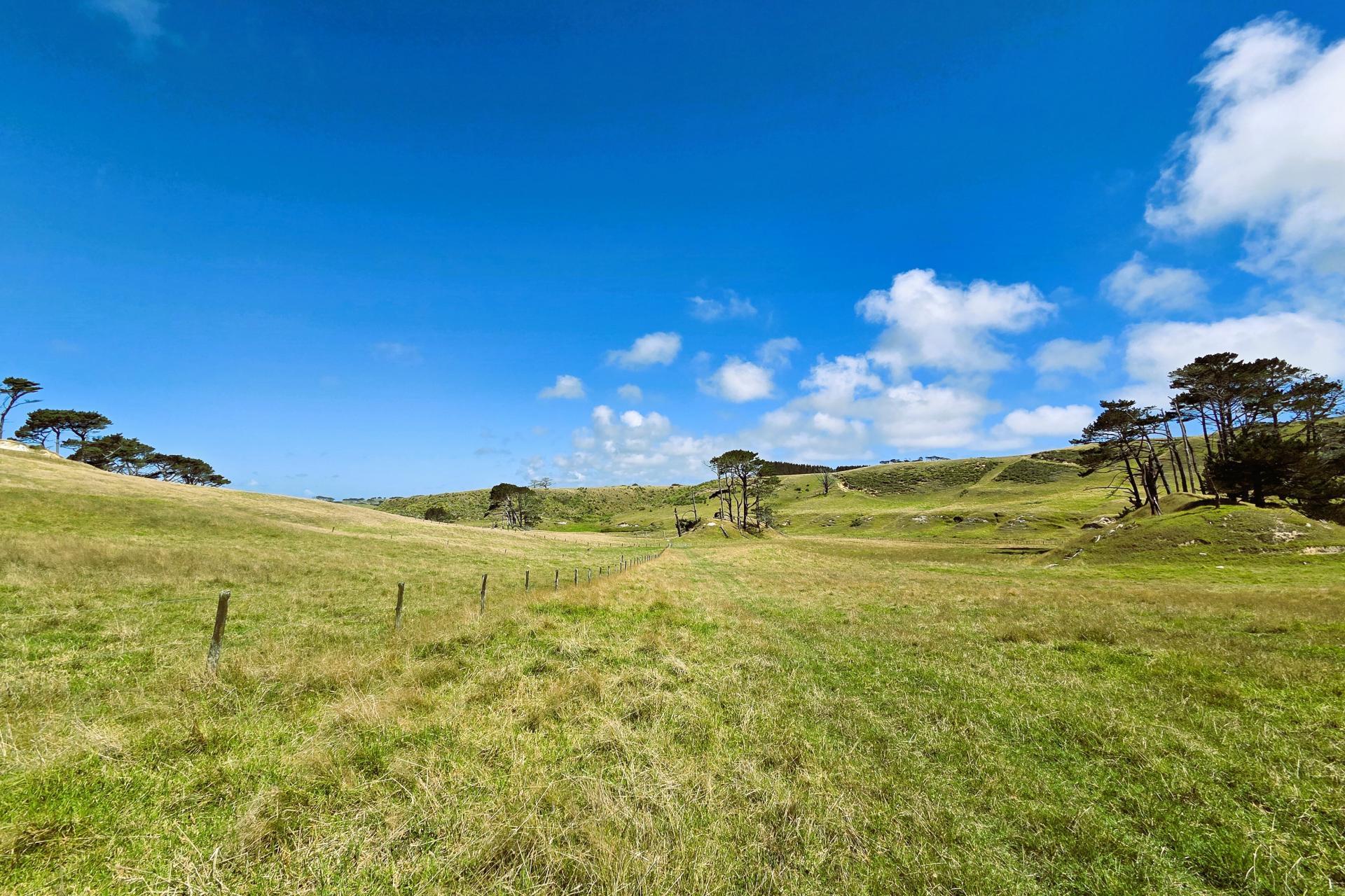 Mount Wesley Coast Road, Dargaville