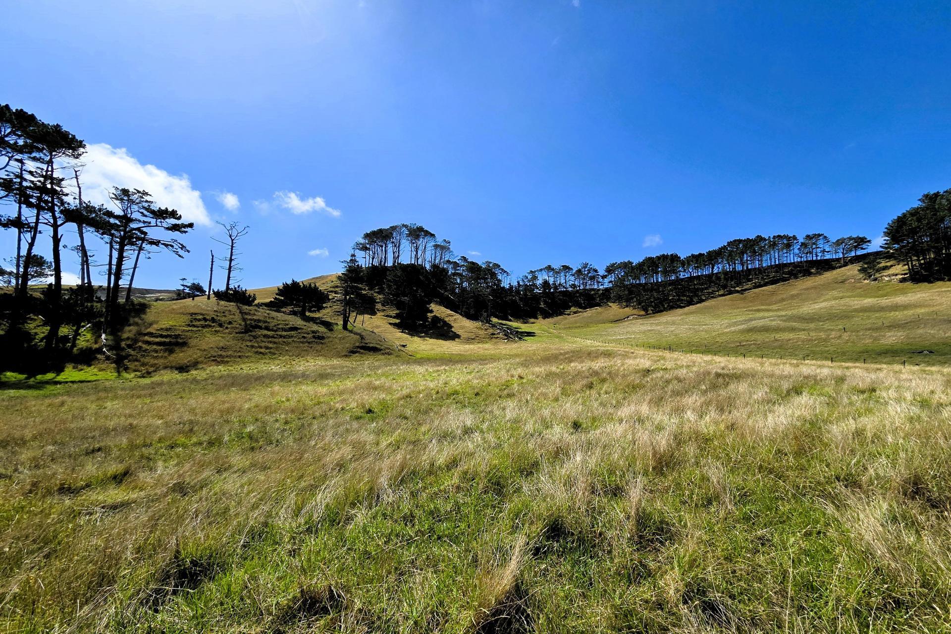 Mount Wesley Coast Road, Dargaville
