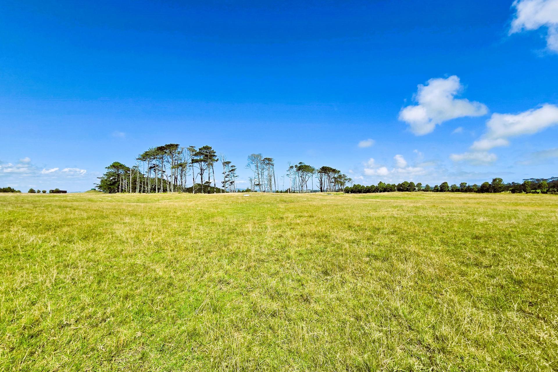 Mount Wesley Coast Road, Dargaville