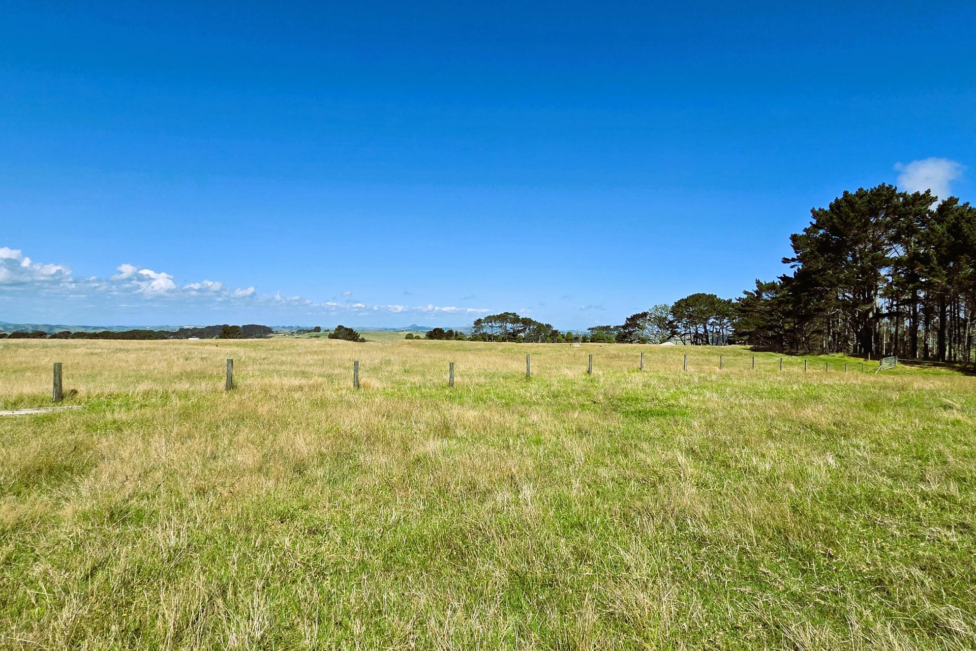 Mount Wesley Coast Road, Dargaville