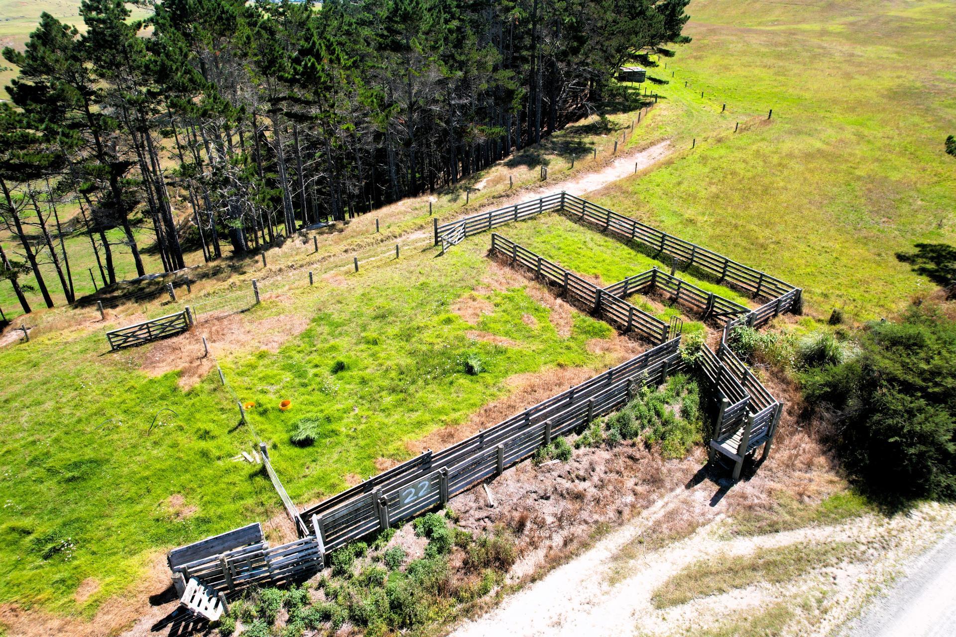 Mount Wesley Coast Road, Dargaville