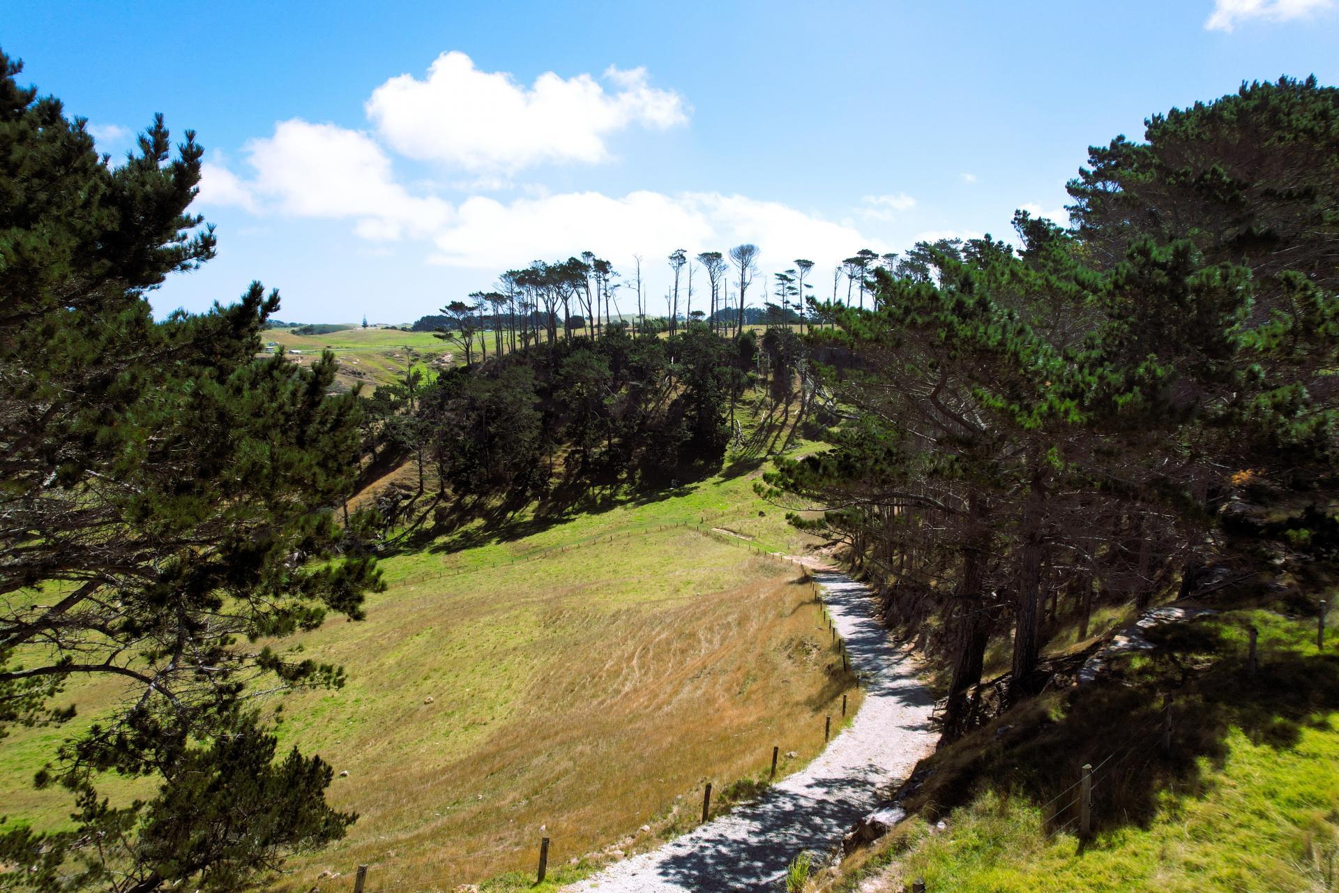 Mount Wesley Coast Road, Dargaville