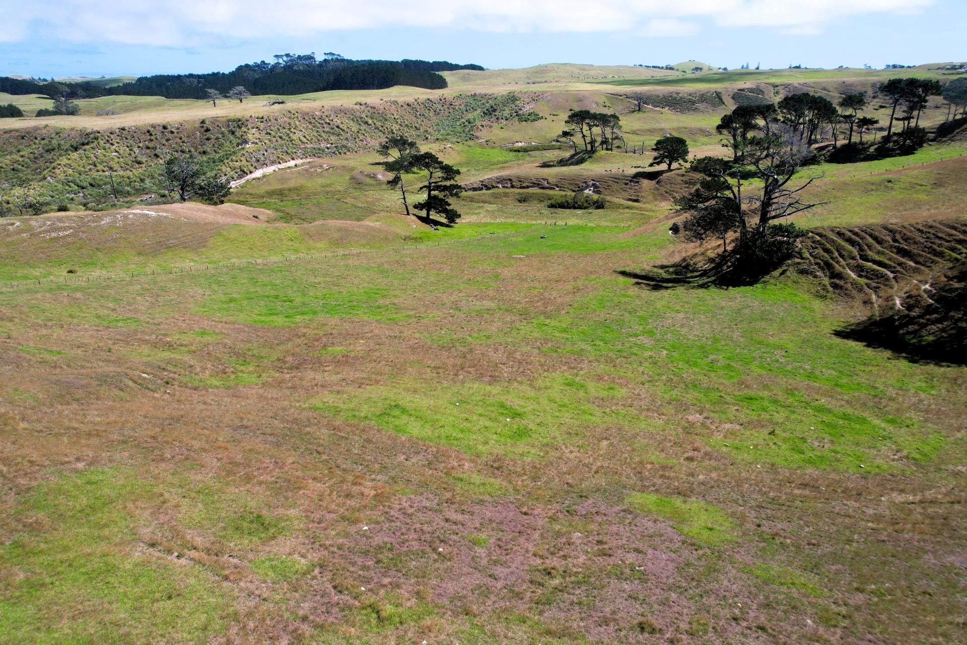 Mount Wesley Coast Road, Dargaville