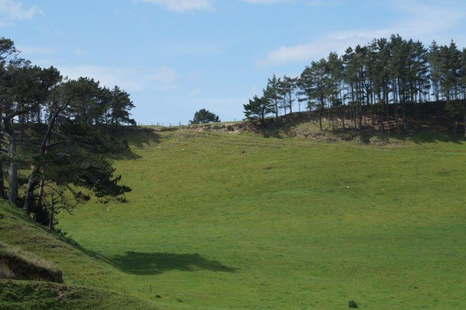 Mount Wesley Coast Road, Dargaville