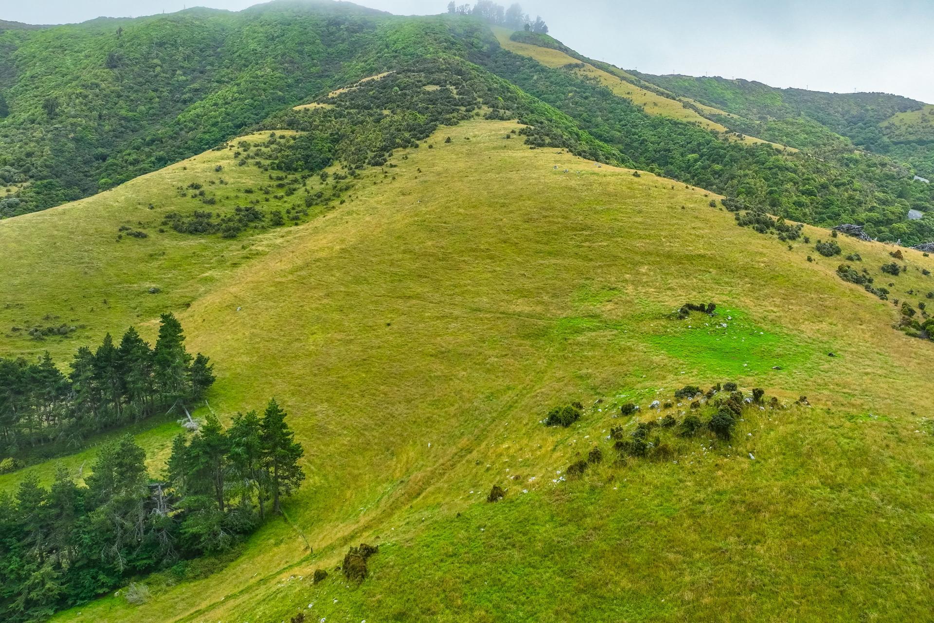 663 Summit Road, Pigeon Bay