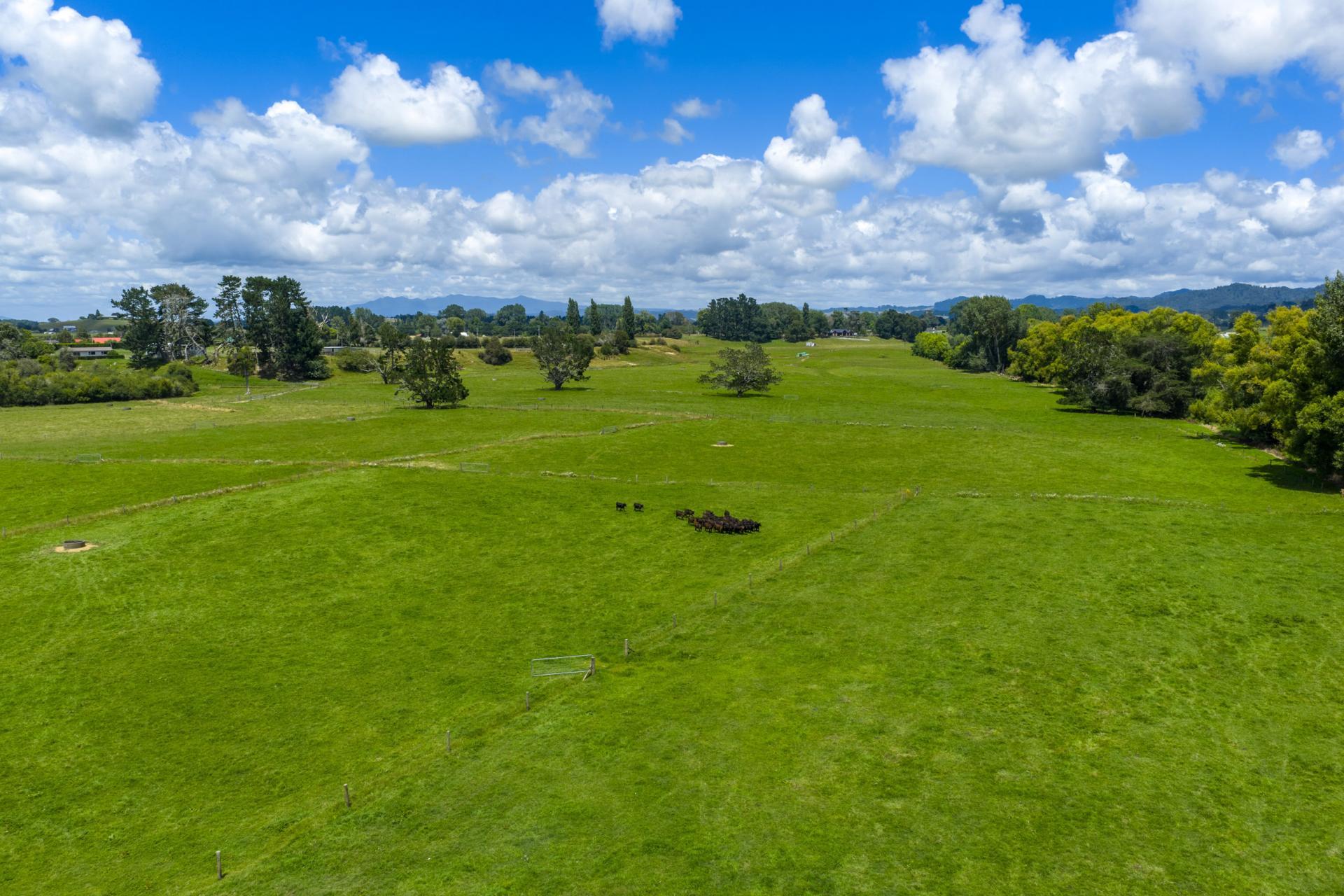 394A Ngaruawahia Road, Ngaruawahia