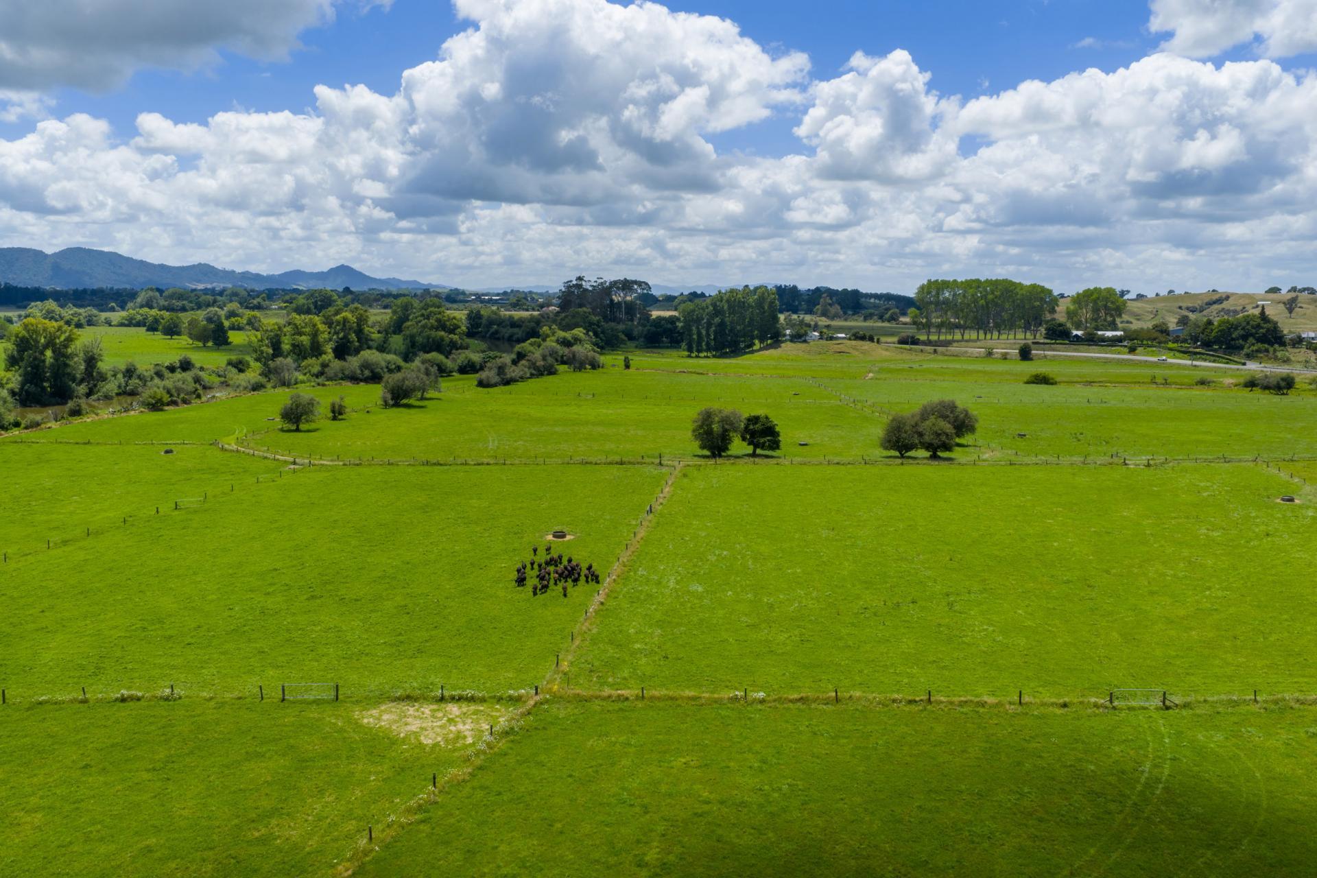 394A Ngaruawahia Road, Ngaruawahia
