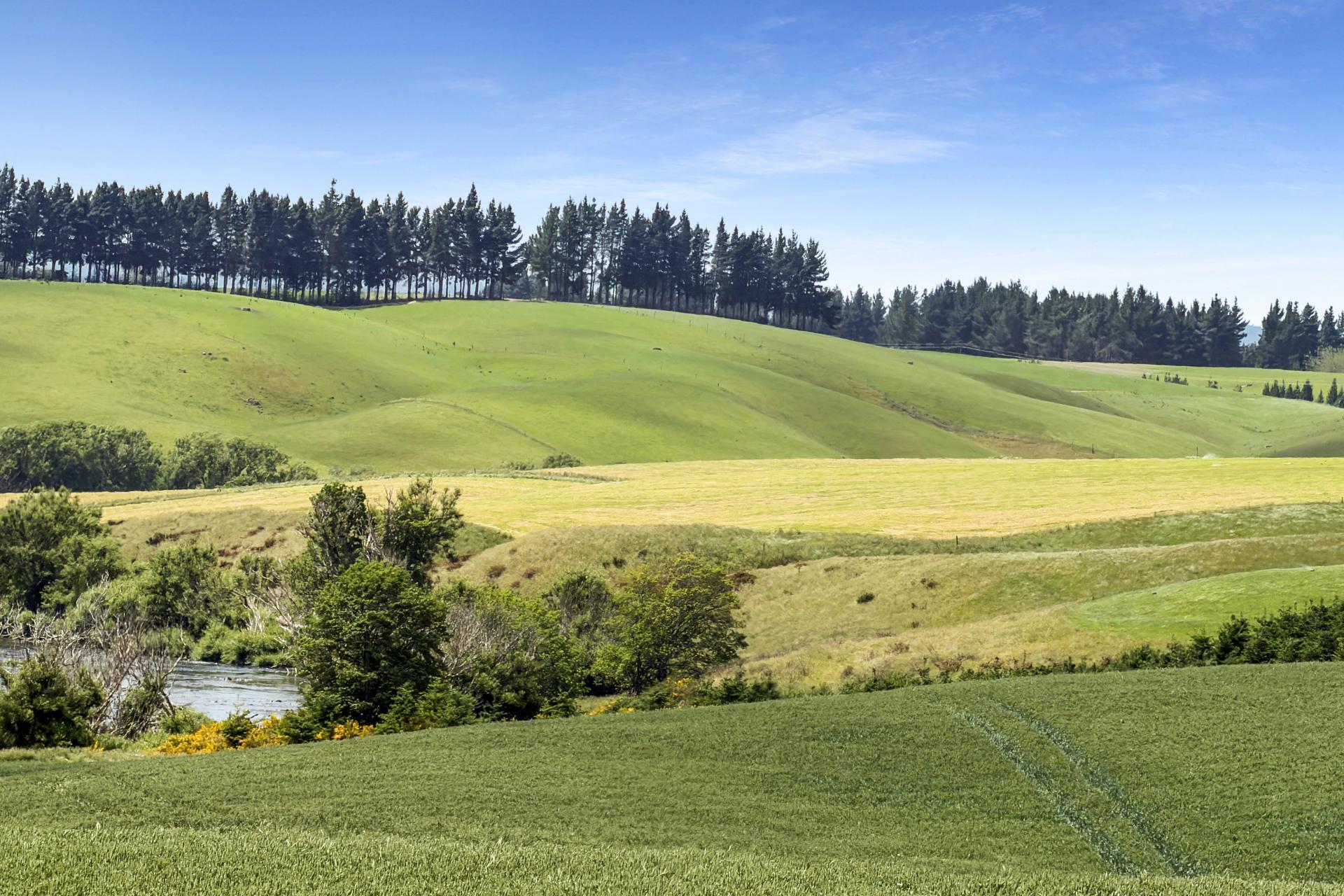264 Dumfries Road, Taumata, Clinton