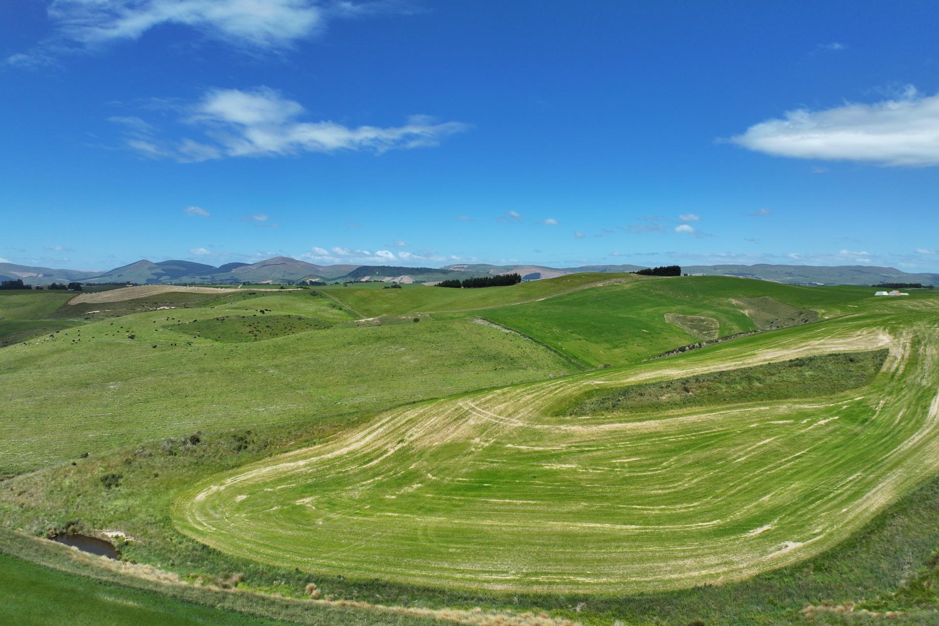 264 Dumfries Road, Taumata, Clinton