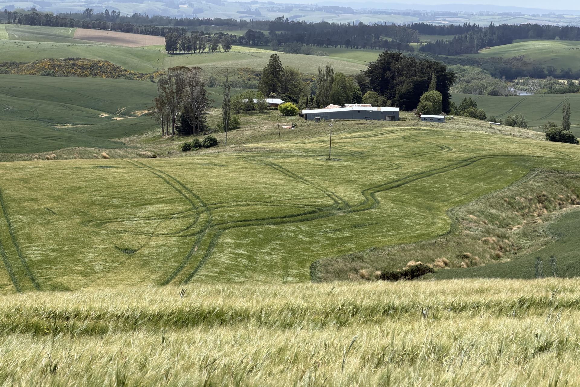 264 Dumfries Road, Taumata, Clinton