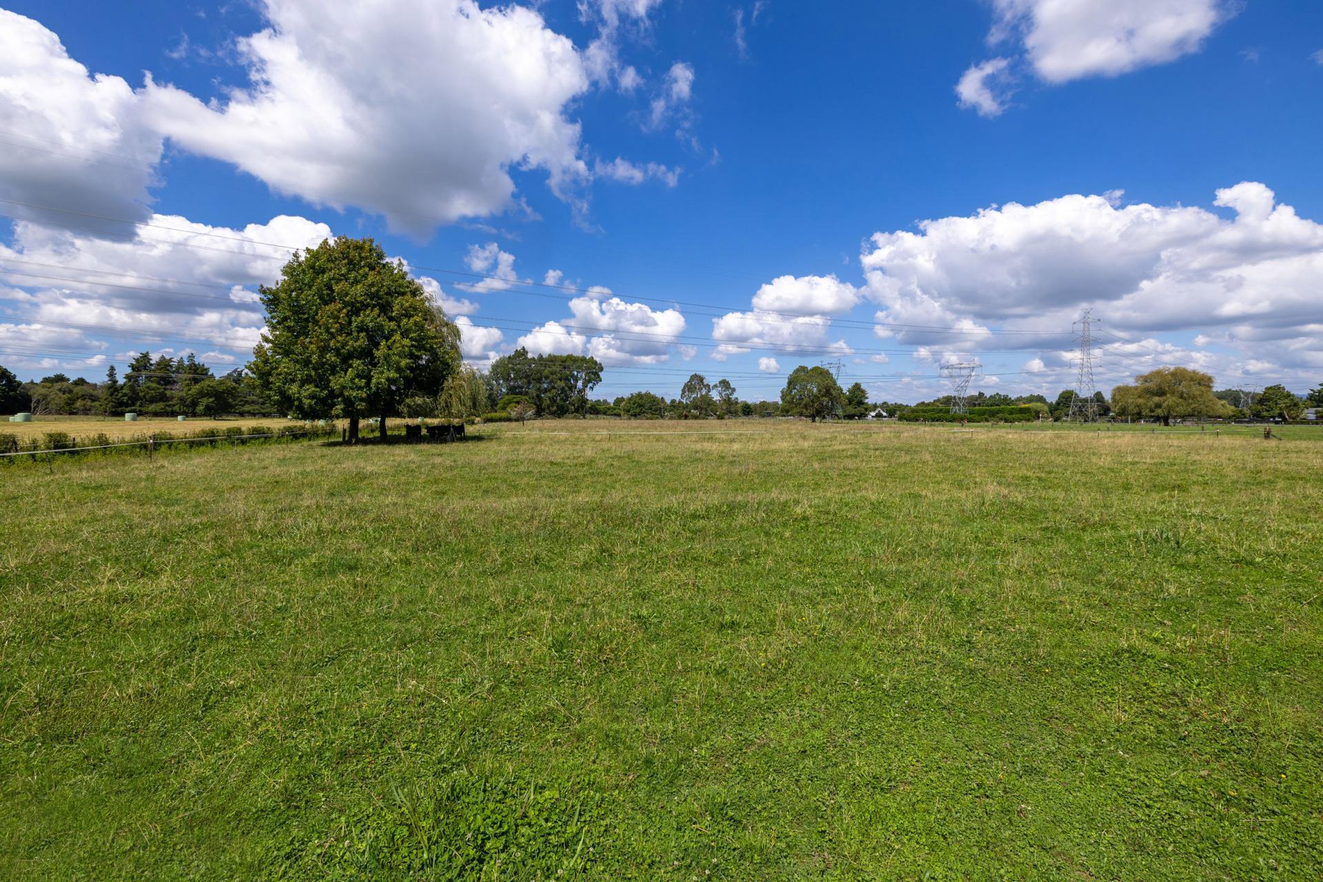 86 Forrest Road, Cambridge