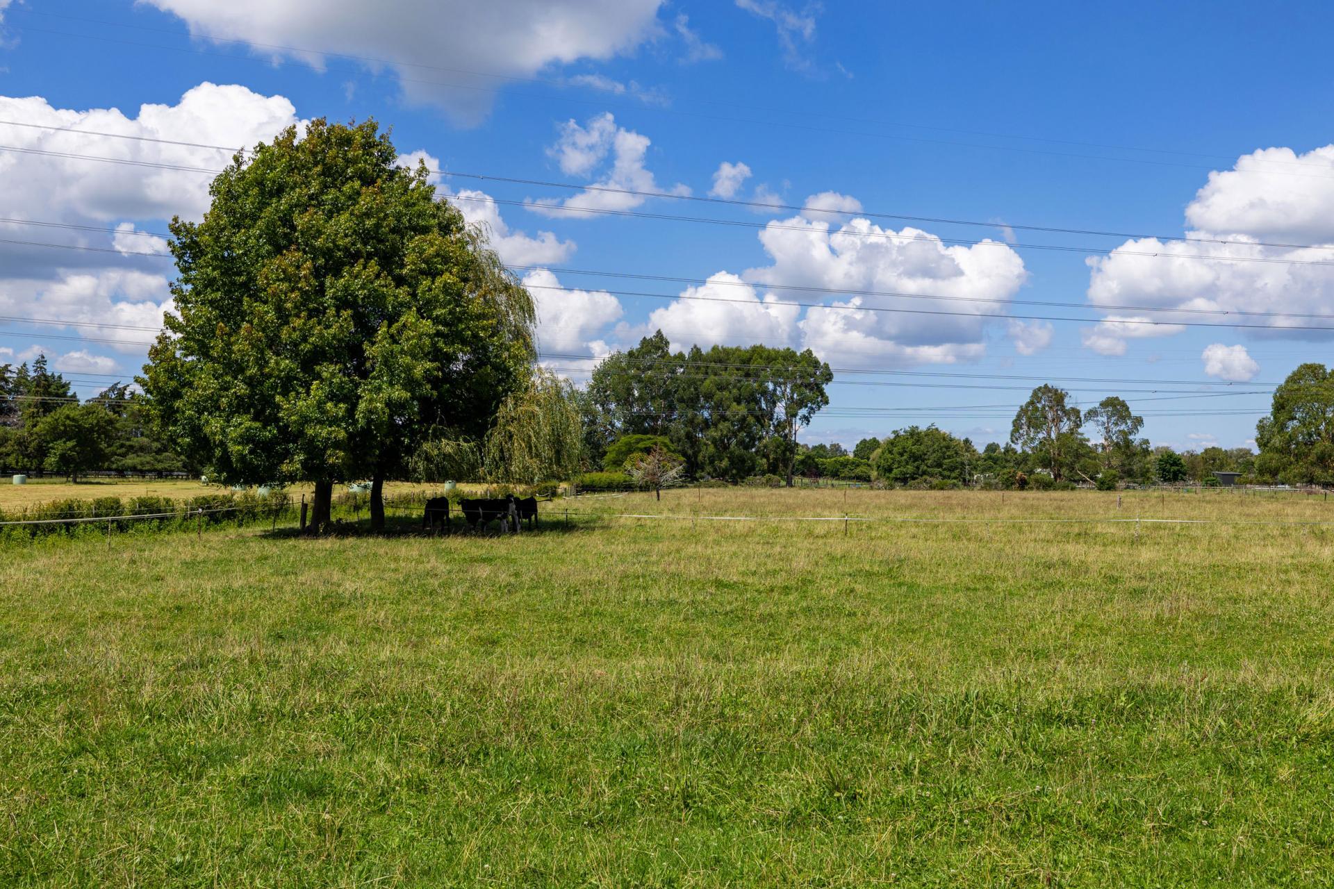 86 Forrest Road, Cambridge