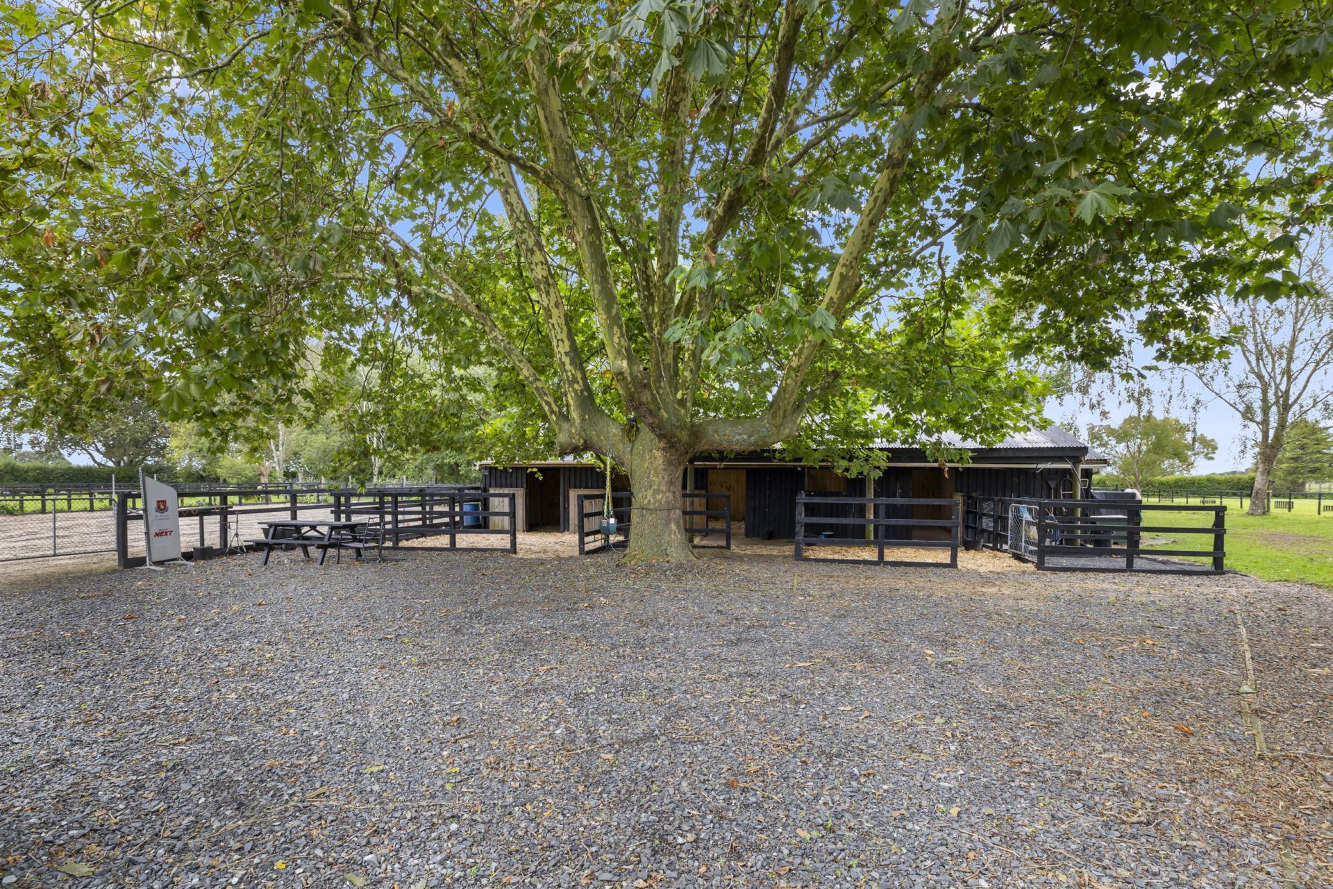 64 Reynolds Road, Rotoorangi