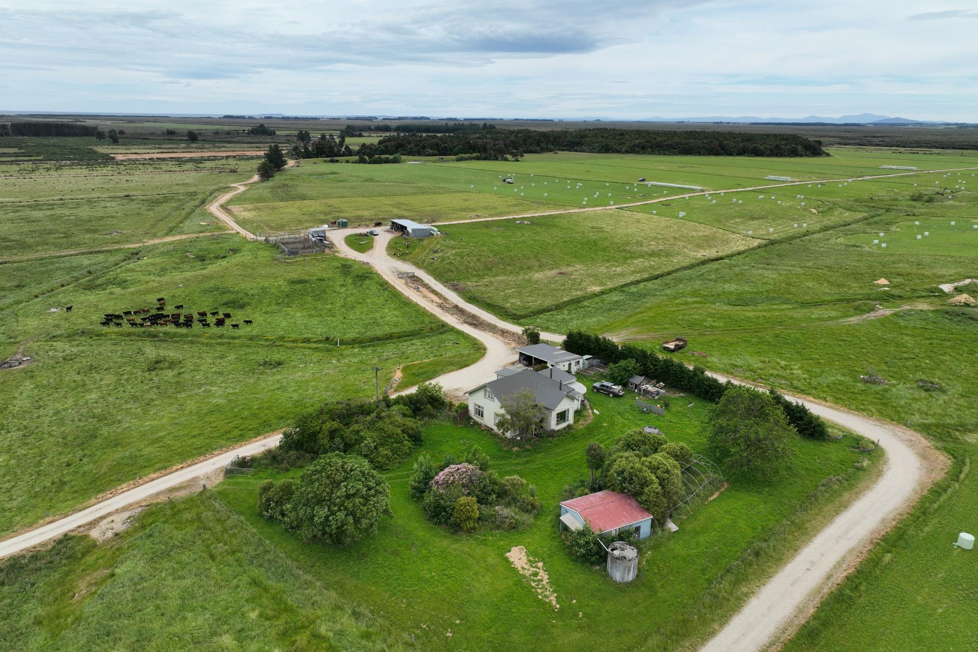 Gorge Road, Gorge Road