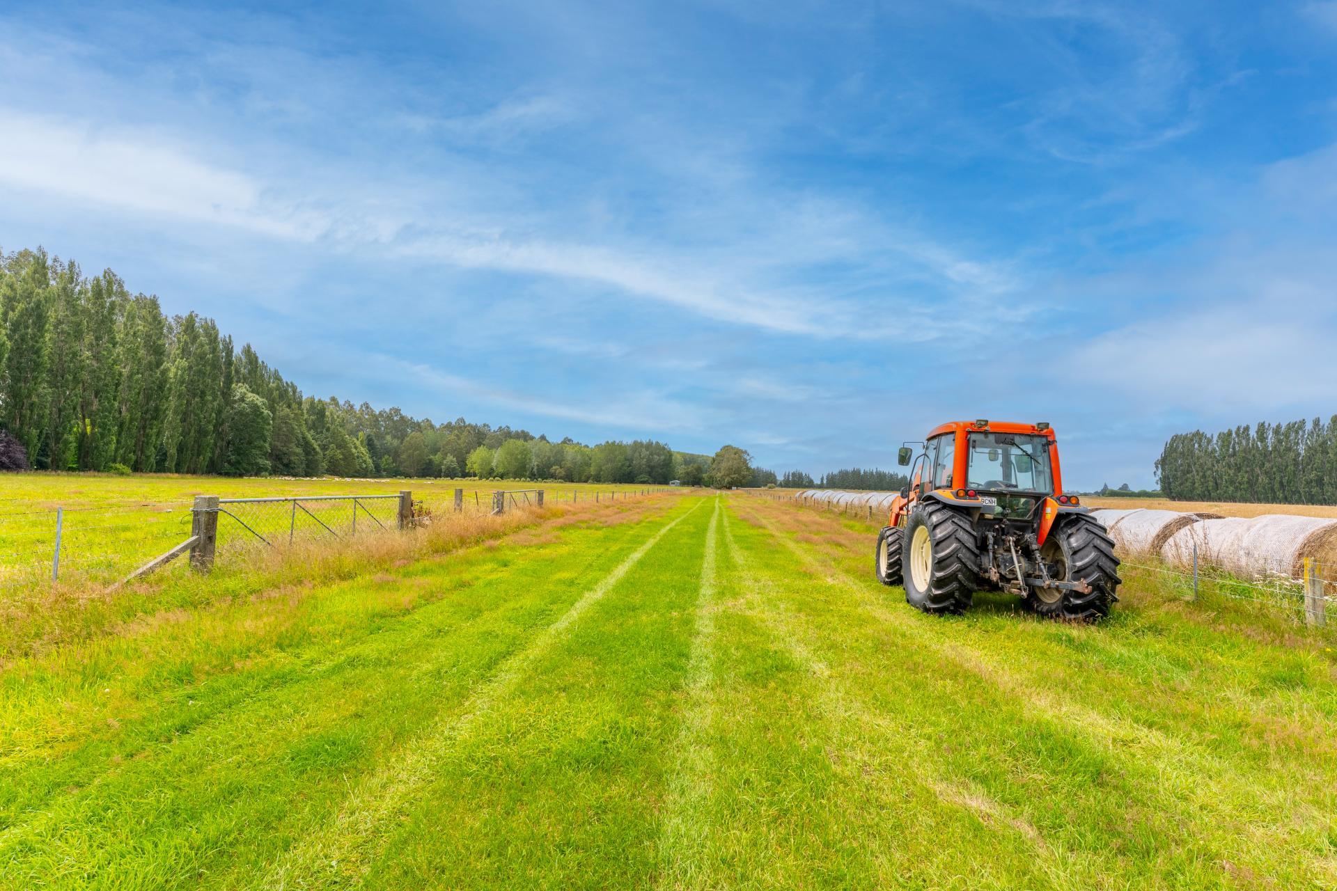 79 Halstead Road, Pleasant Point