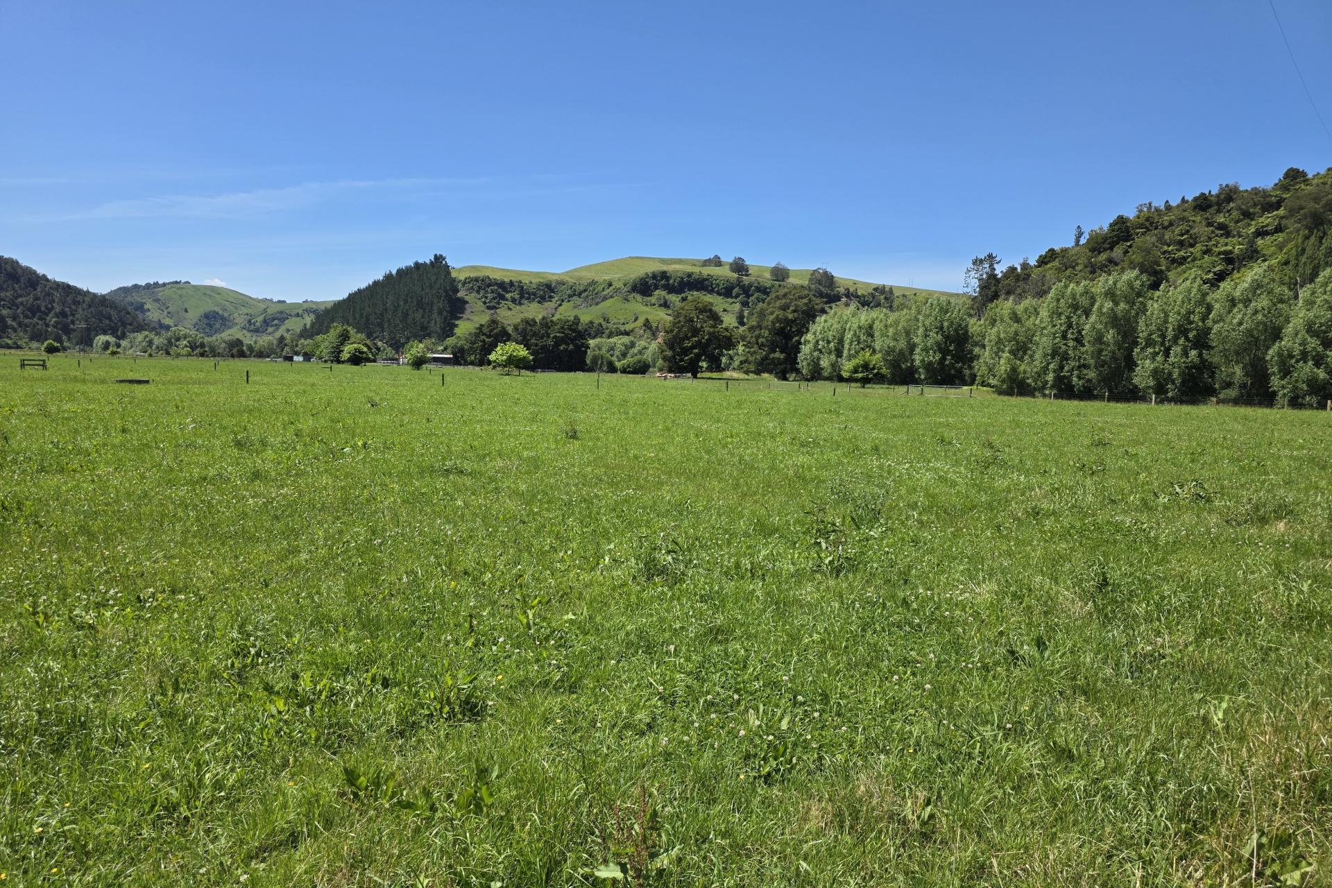 1822 Otewa Road, Waimahora