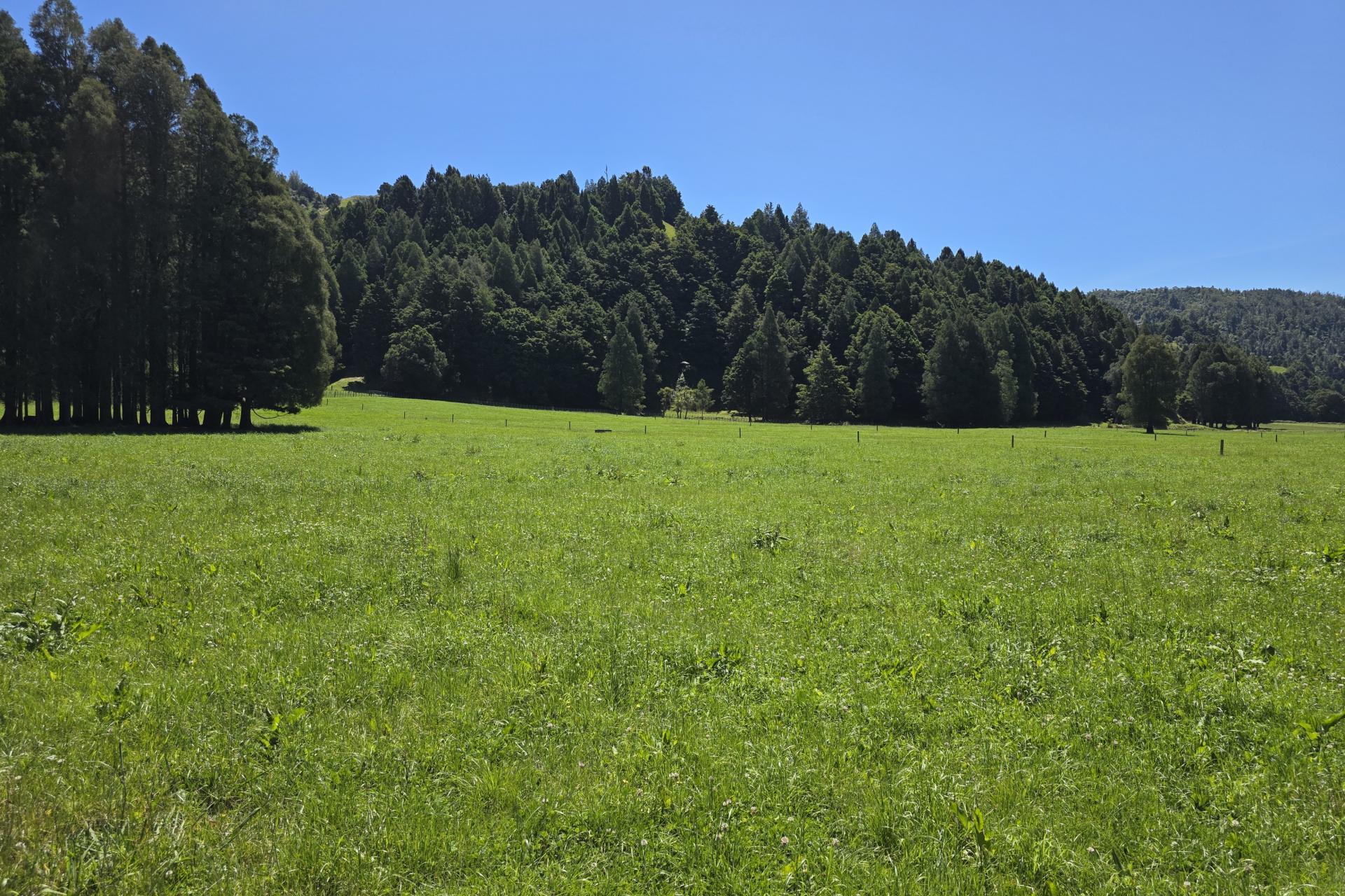 1822 Otewa Road, Waimahora