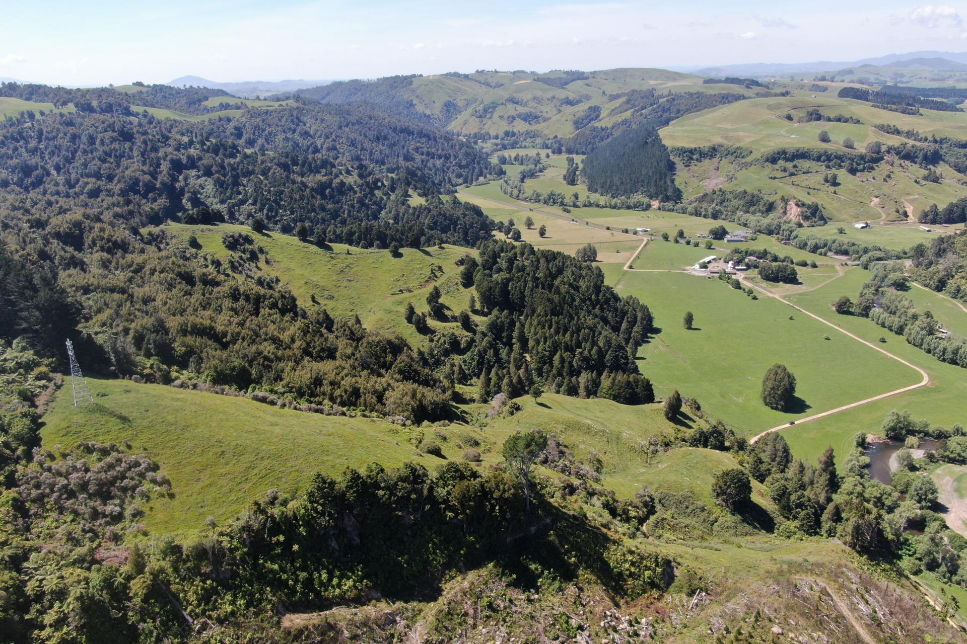 1822 Otewa Road, Waimahora