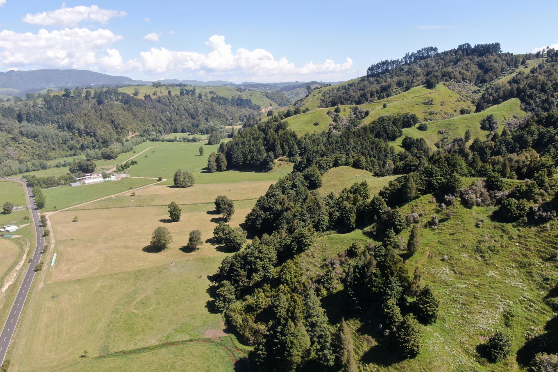 1822 Otewa Road, Waimahora