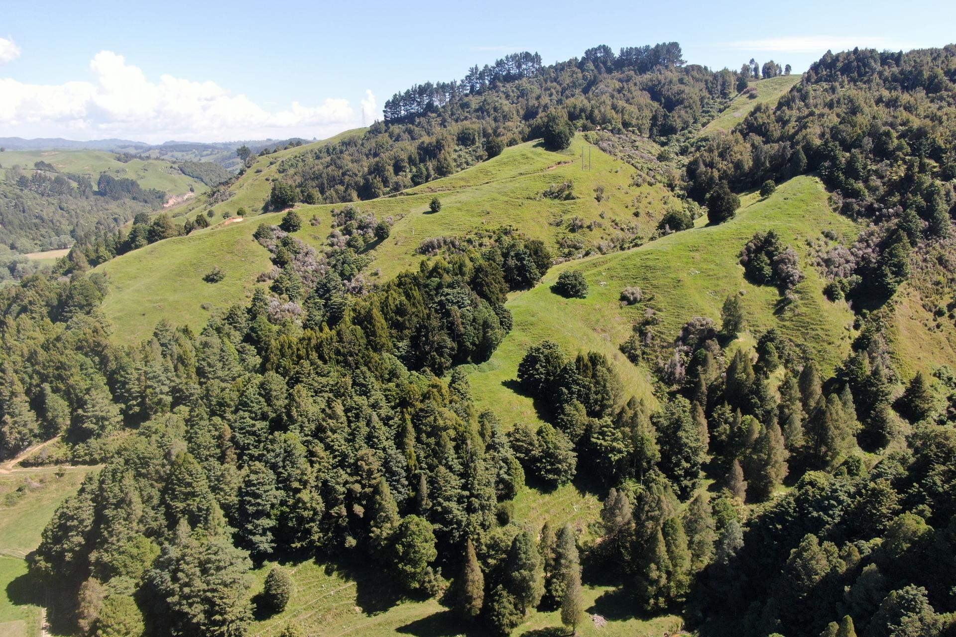 1822 Otewa Road, Waimahora