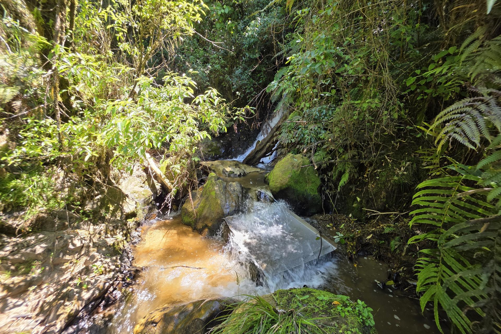 1822 Otewa Road, Waimahora