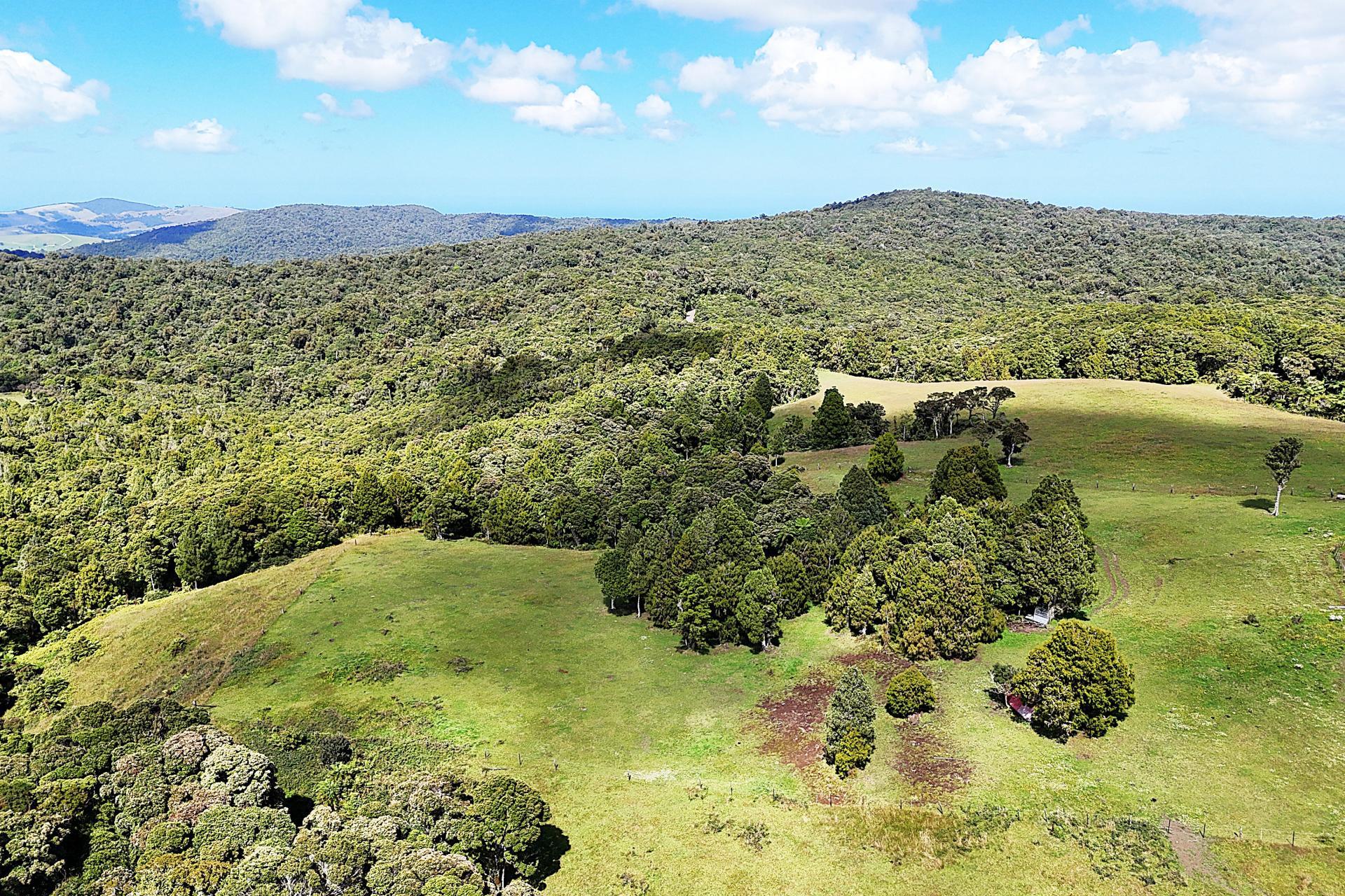 870 Marlborough Road, Dargaville Surrounds